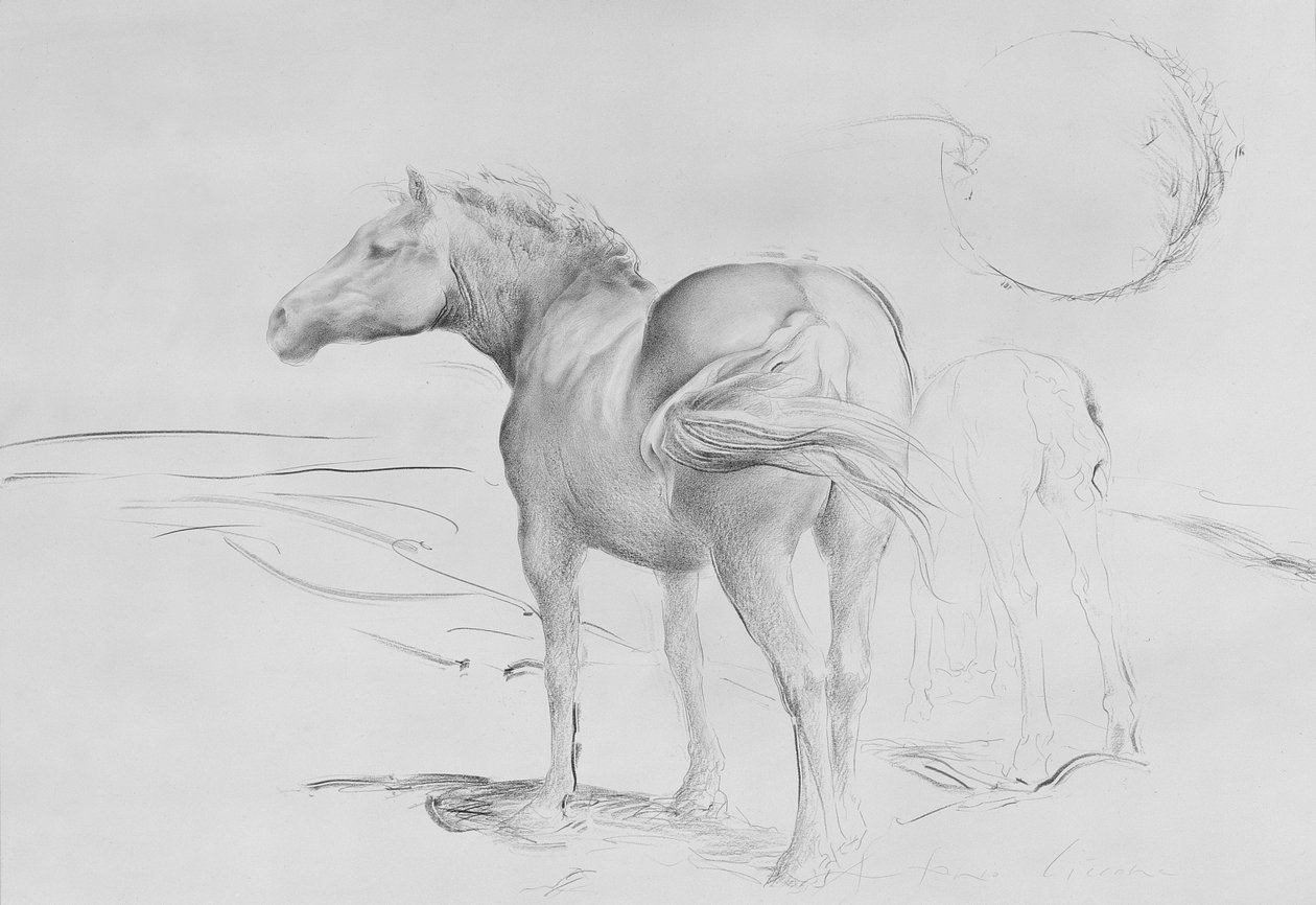 Horses at Coolmoressa, 1990 (hiili paperilla) tekijältä Antonio Ciccone