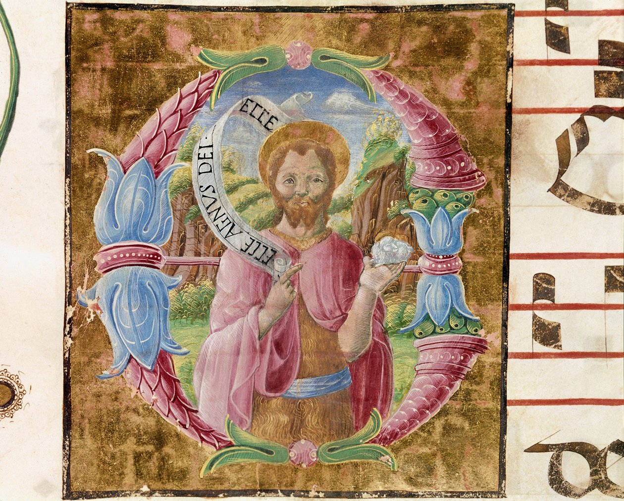 Pyhän Johannes Kastajan Lettrine valaisi Antonio Cicognari. Antifonian yksityiskohta. 1483. Cremone, kuoro 4, katedraalin luku tekijältä Antonio Cicognara