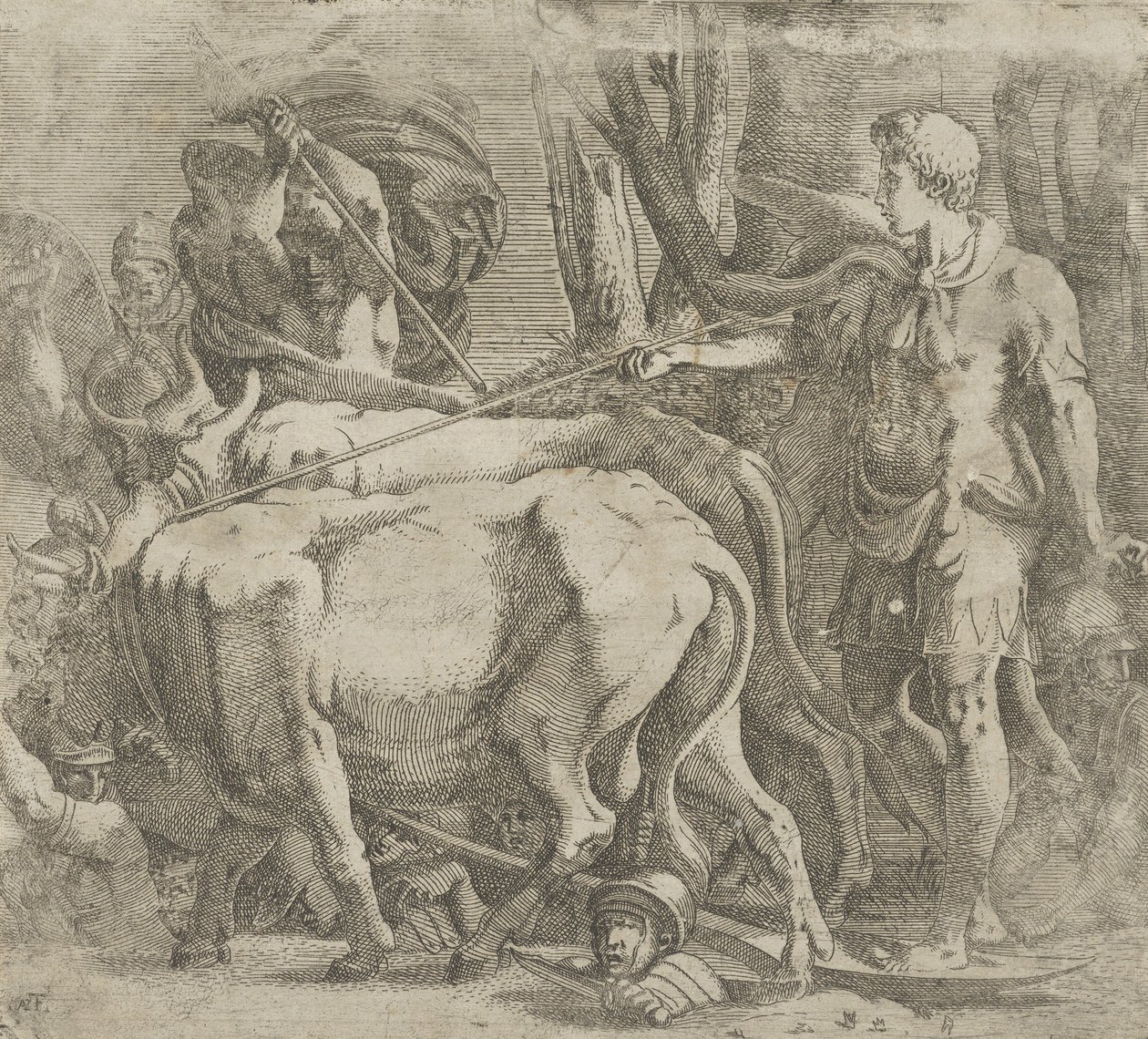 Cadmus viljelee peltoa, jossa hän kylvi lohikäärmeen hampaat, 1540-45. tekijältä Antonio Fantuzzi