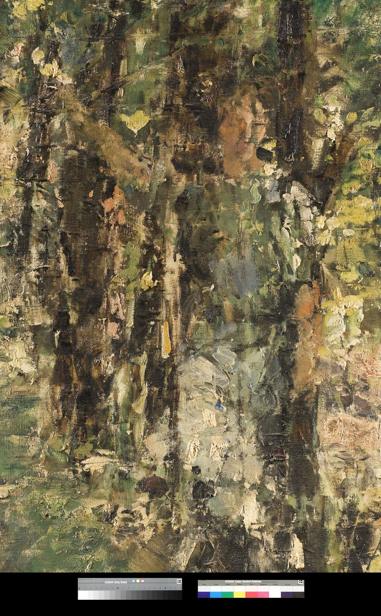 Heijastuksia, 1918-20 tekijältä Antonio Mancini