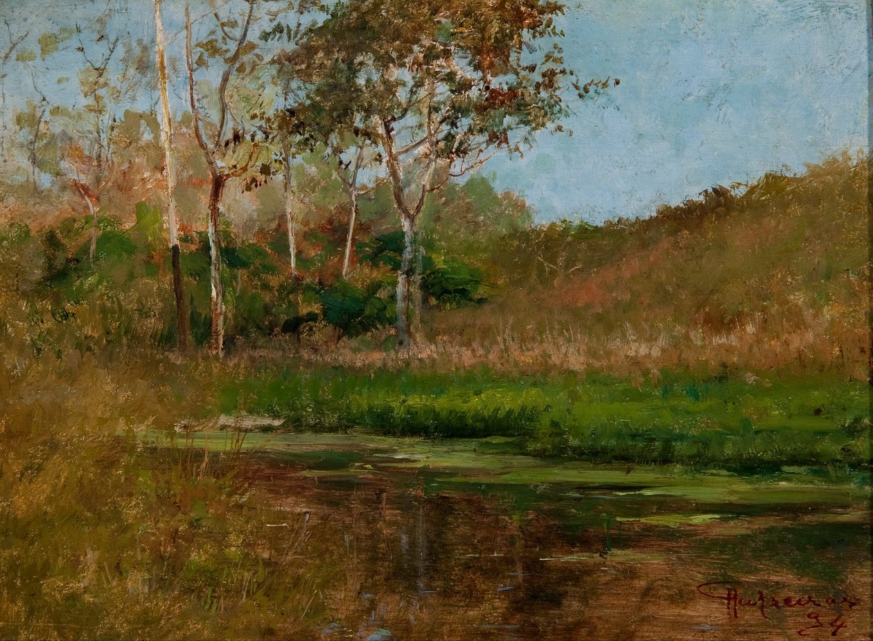 Still Water tekijältä Antonio Parreiras