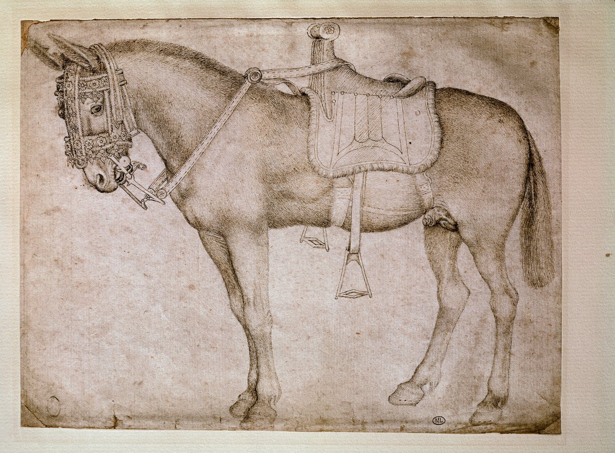 Muulin valjaat. Piirustus Antonio Pisano dit il Pisanello (1380-1455) tekijältä Antonio Pisanello