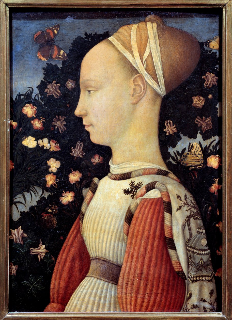 Ginevra d