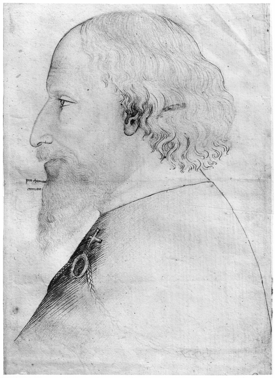 Sigismund, Pyhän Rooman keisari, Vallardi-albumista (kynä, muste, lyijykynä ja punainen liitu paperille) tekijältä Antonio Pisanello