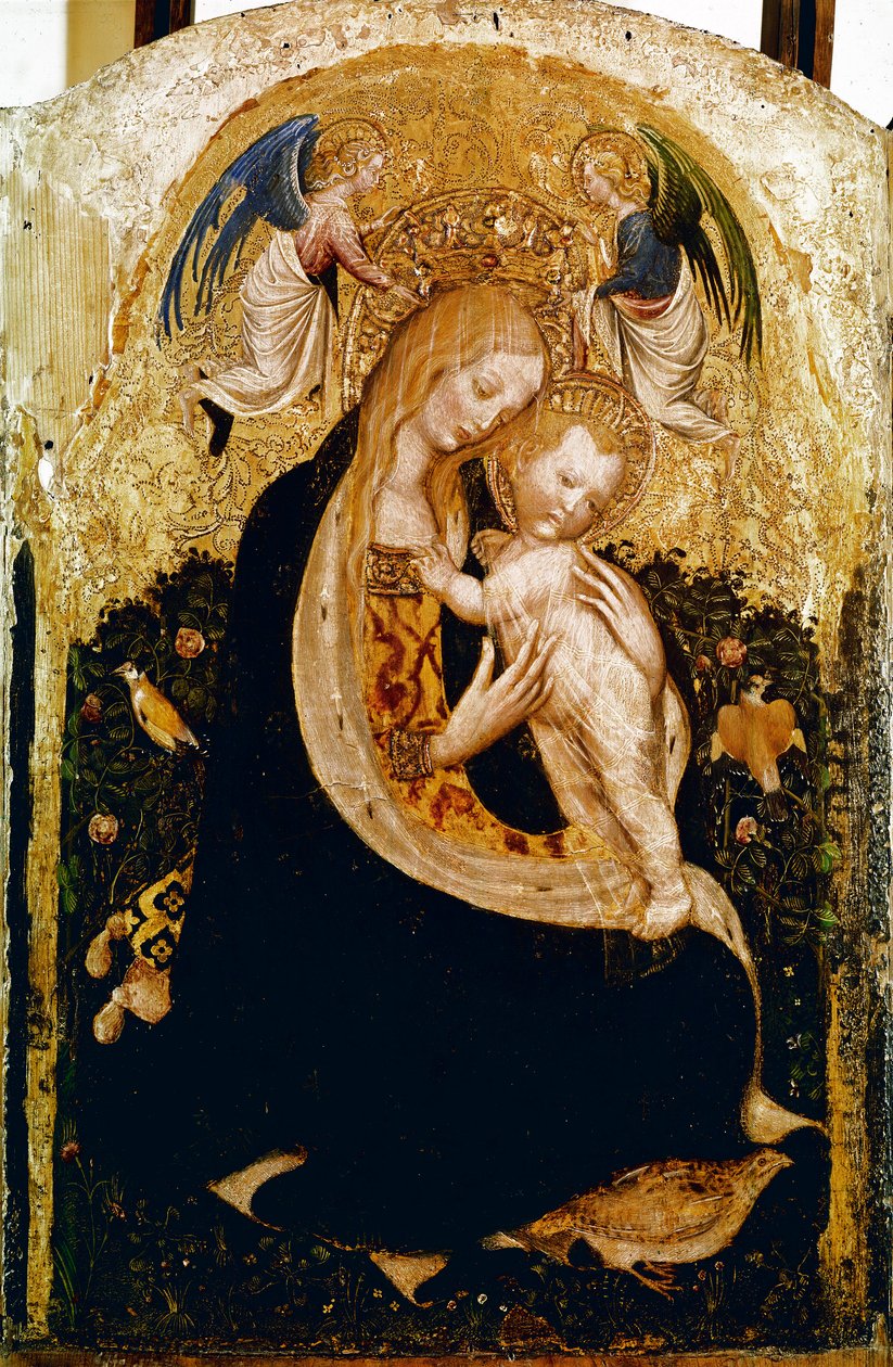 Madonnalla on Viiriäinen Detrempe Pisanellon (Antonio Pisano) puussa (n. 1380-1455). 1420 noin Mitat 50x33 cm Verone, Castevecchio Museum - Madonna viiriäisellä, Antonio Pisano eli Pisanello (1380-n.1455)., Tempera puulla, 50x33 cm tekijältä Antonio Pisanello