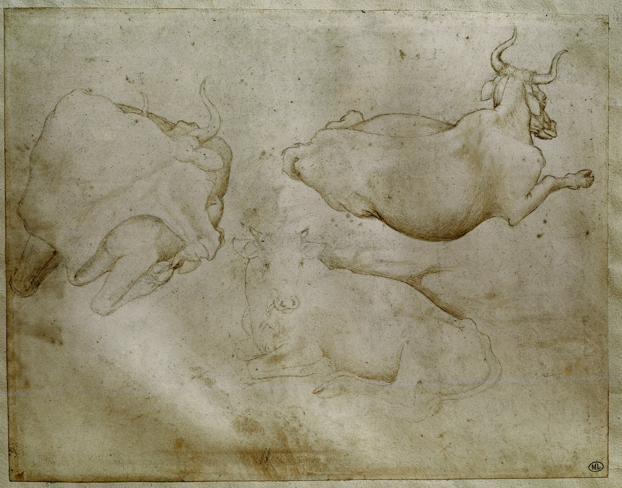 Kaksi lehmää ja kataja. Piirustus Antonio di Puccio Pisano dit Pisanello (1395-1455). Rulla, metallikärki. Korkeus: 17,6 cm. Louvre, Cabinet des Medailles tekijältä Antonio Pisanello