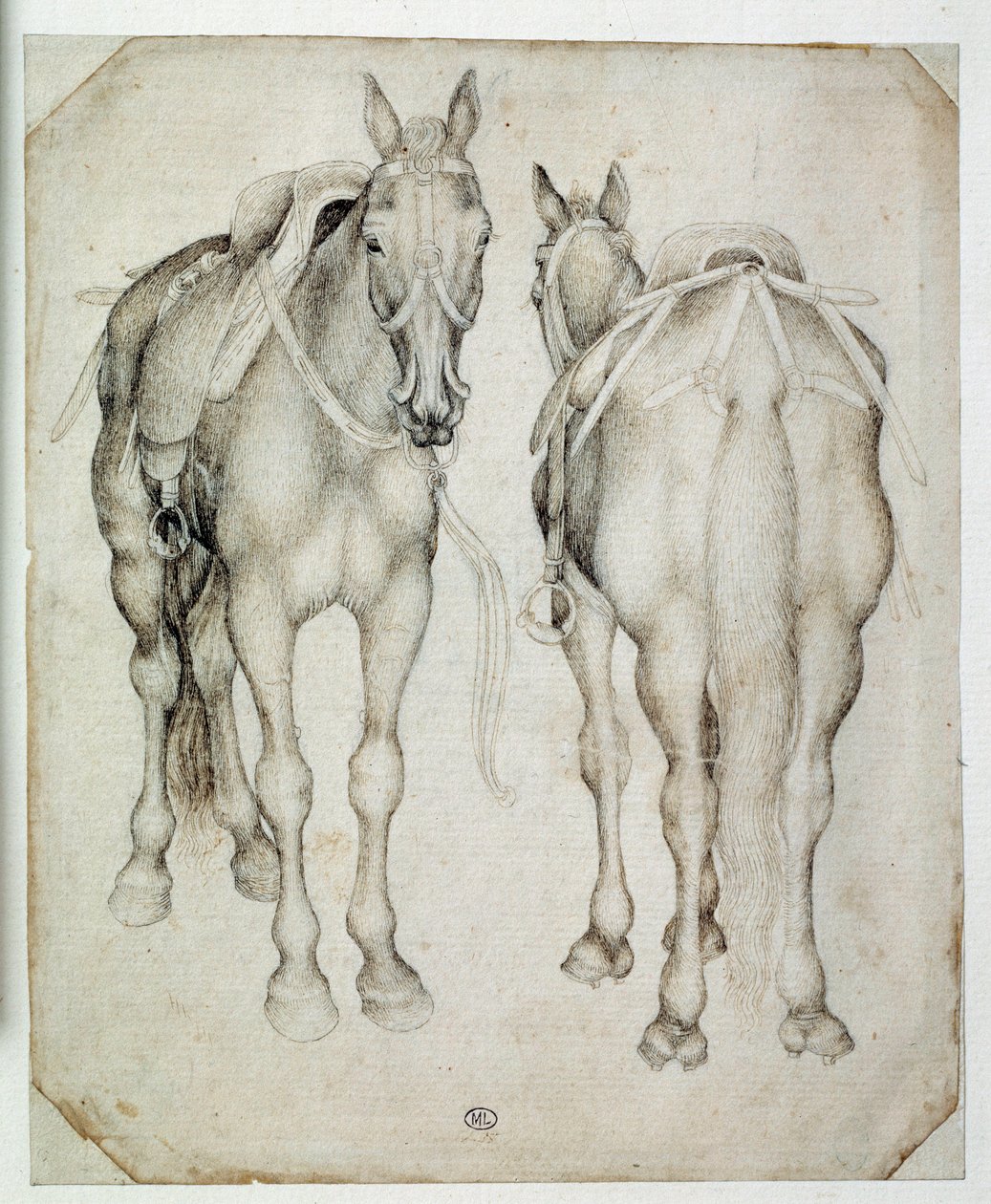 Kaksi valjaita, kolme neljäsosaa nähtynä, toinen edestä ja toinen takaa. Piirustus Pisano Antonio di Puccio dit Pisanello (1395-1455) tekijältä Antonio Pisanello