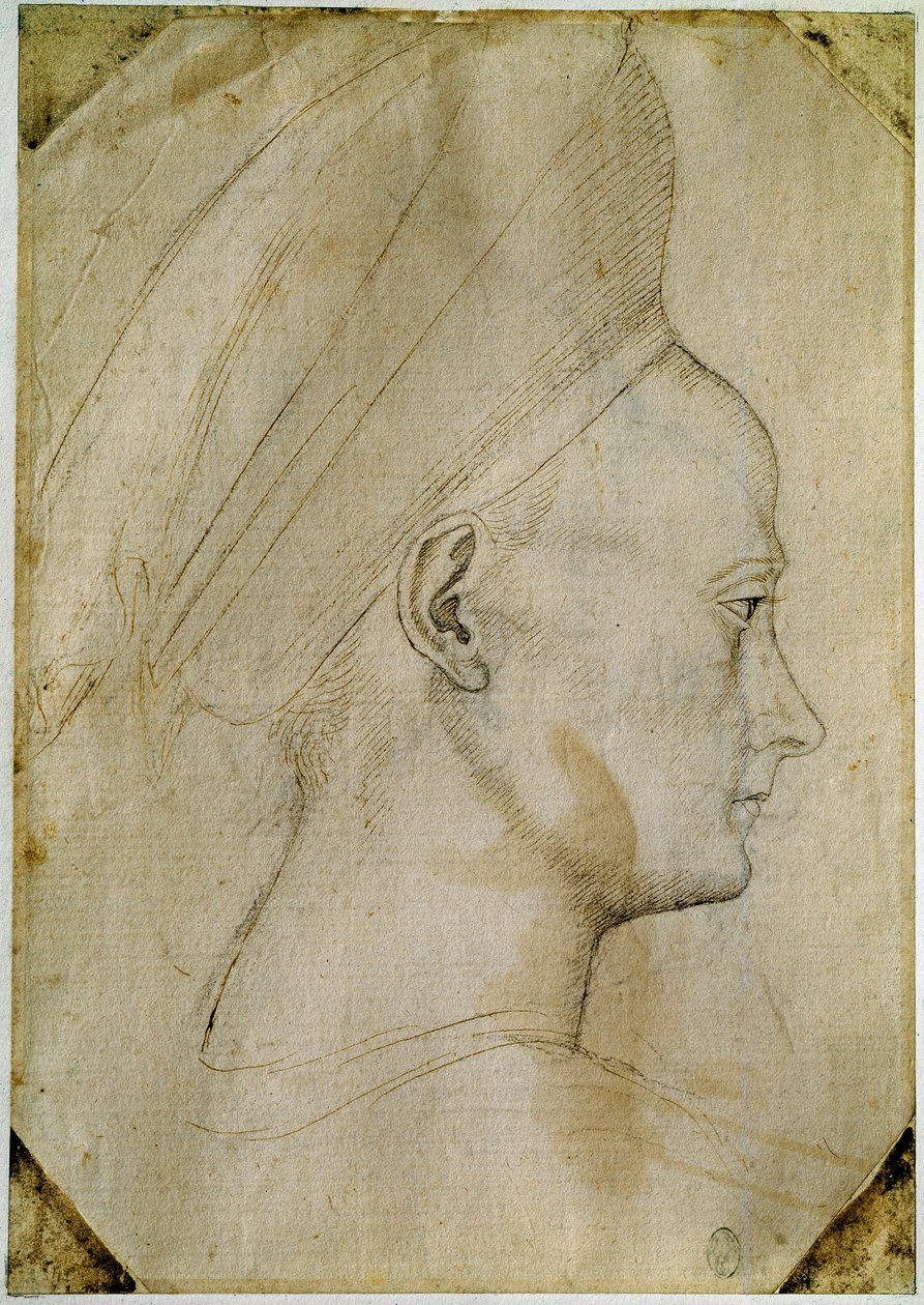 Nuoren naisen pää, profiilissa oikealla. Piirustus Antonio di Puccio Pisano dit Pisanellon (1395-1455) työpajasta. Ruskea muste, musta kivi, höyhen. Mitat: 24,6 x 17,2 cm. Louvre, Cabinet des dessins. tekijältä Antonio Pisanello