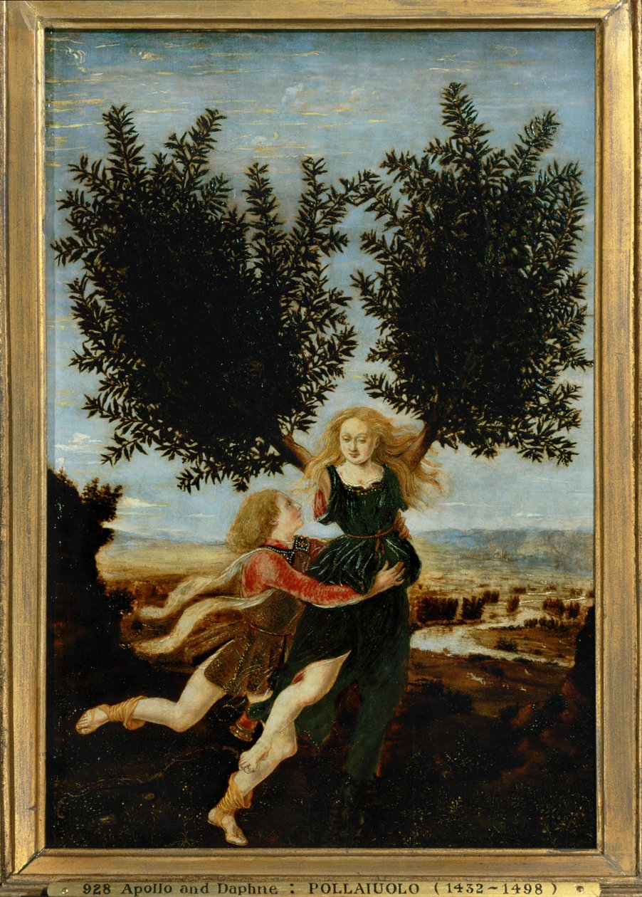 Apollo ja Daphne ... (maalaus kankaalle) tekijältä Antonio Pollaiuolo