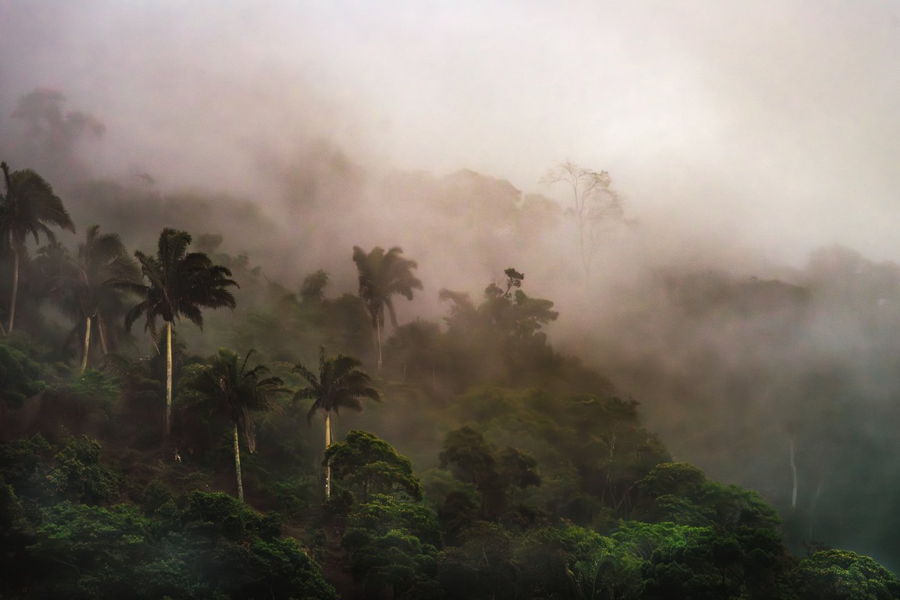 Corcovado XIX, 2020 (digitaalinen kuva) tekijältä Antonio Schubert