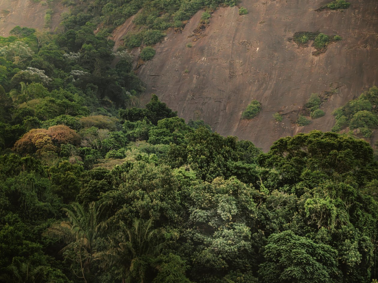 Corcovado XV, 2020 (digitaalinen valokuvaus) tekijältä Antonio Schubert