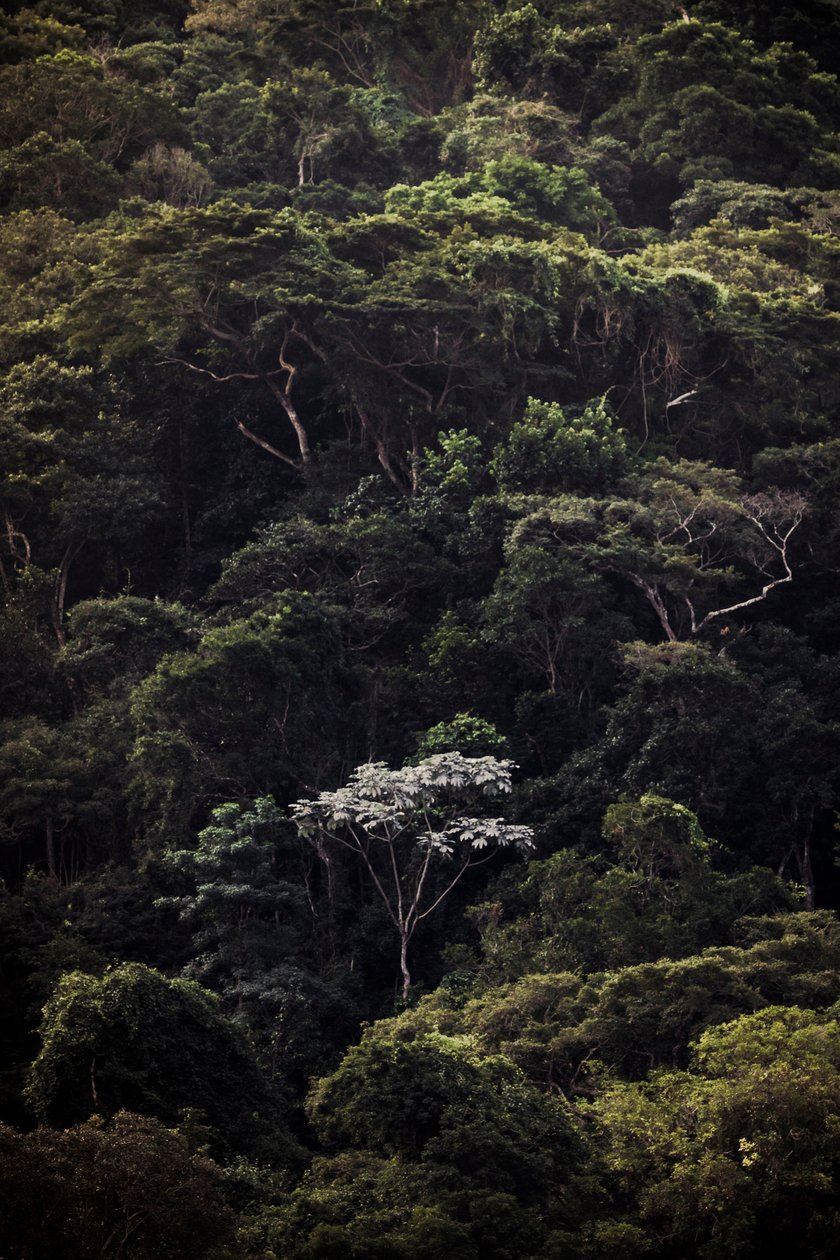  tekijältä Antonio Schubert