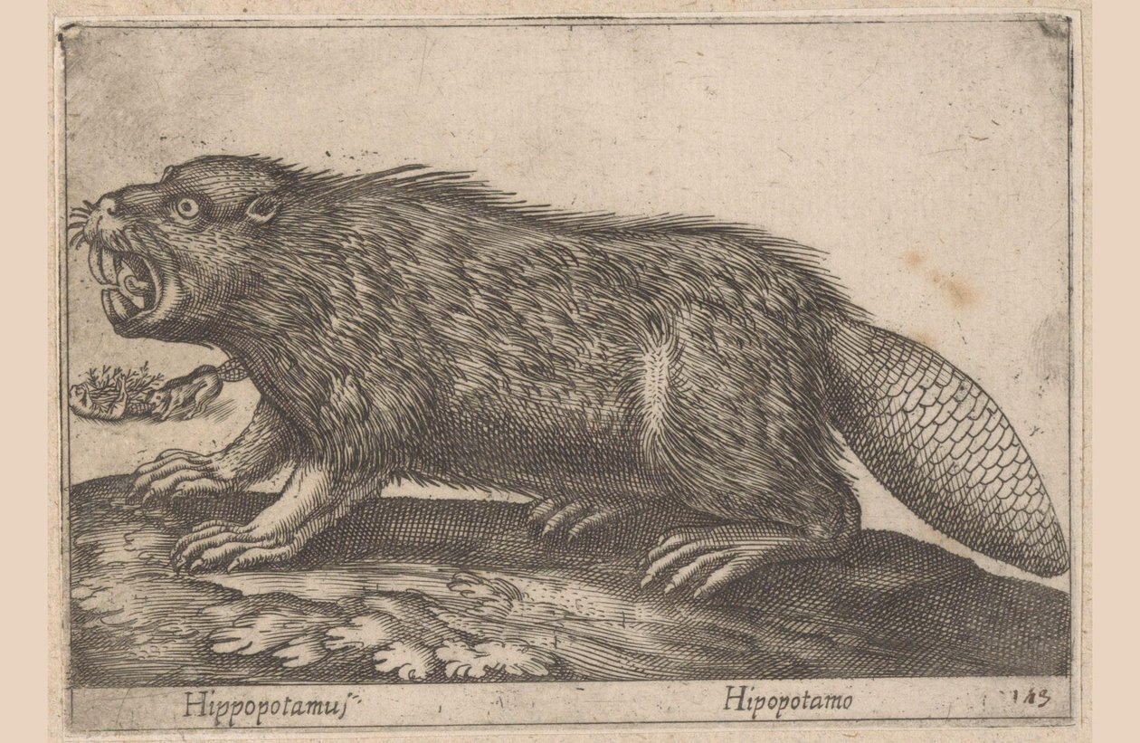 Juoda Virtahepo (otsikko esineessä) Dieren en fablewezens (sarjan nimi) Nova raccolta de li animali piu curiosi del mondo (sarjan nimi) tekijältä Antonio Tempesta