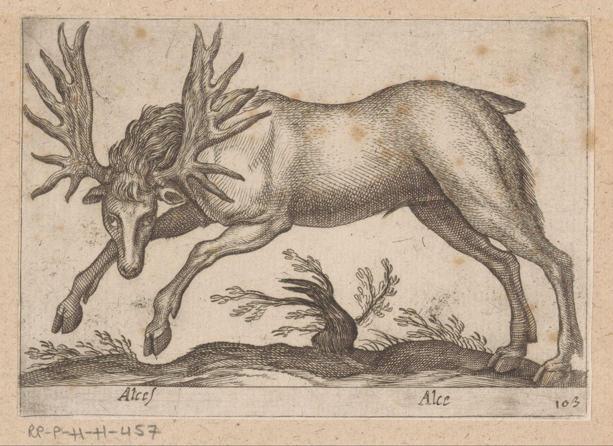 Eland Hirvi/ Hirvi (otsikko esineessä) Dieren en fablewezens (sarjan nimi) Uusi kokoelma maailman uteliaimpia eläimiä (sarjan nimi) tekijältä Antonio Tempesta