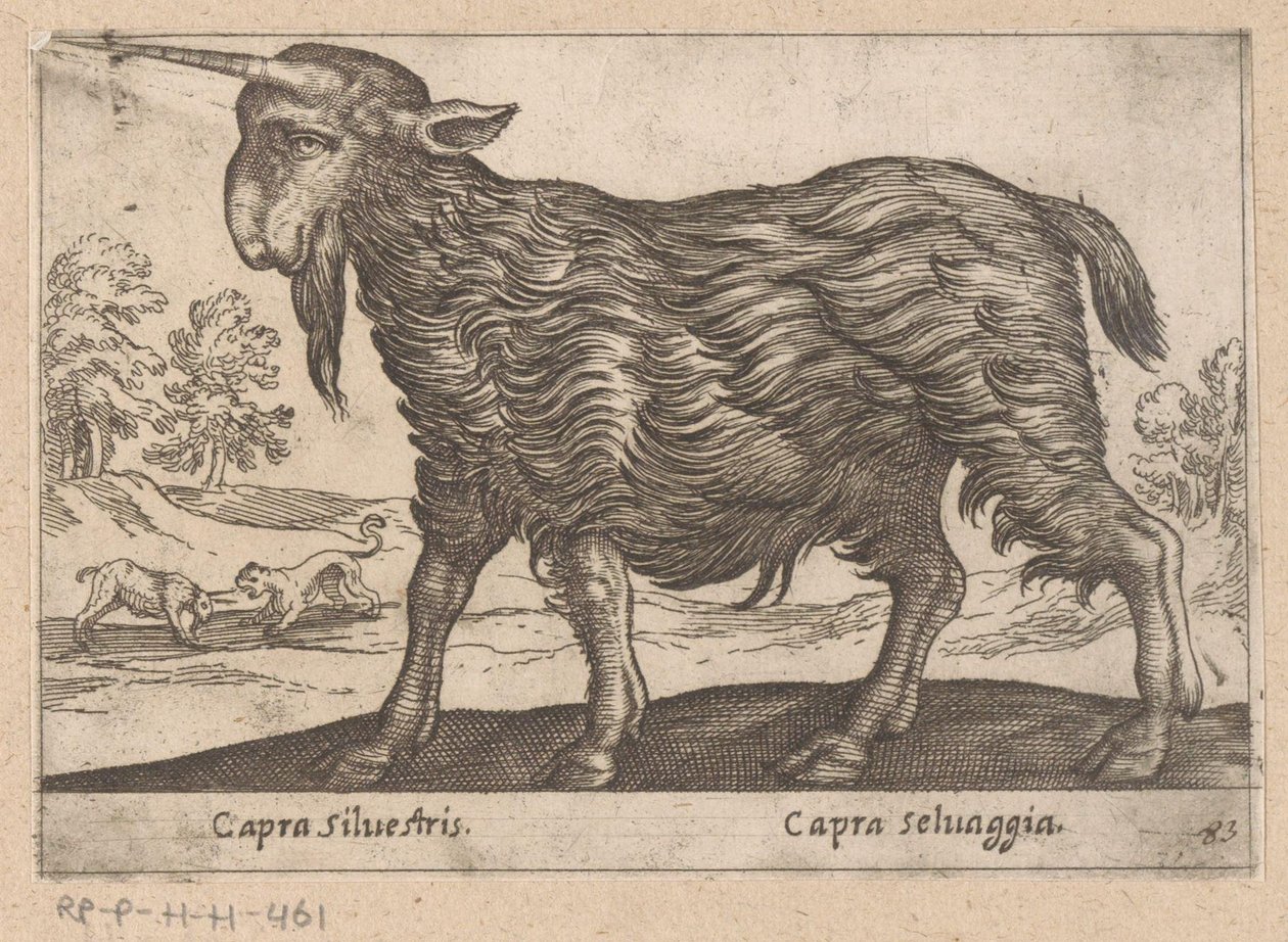 Vuohi yhdellä sarvella Capra Silvestris/ Capra Selvaggia (otsikko esineessä) Dieren en fablewezens (sarjan nimi) Uusi kokoelma maailman uteliaimpia eläimiä (sarjan nimi) tekijältä Antonio Tempesta