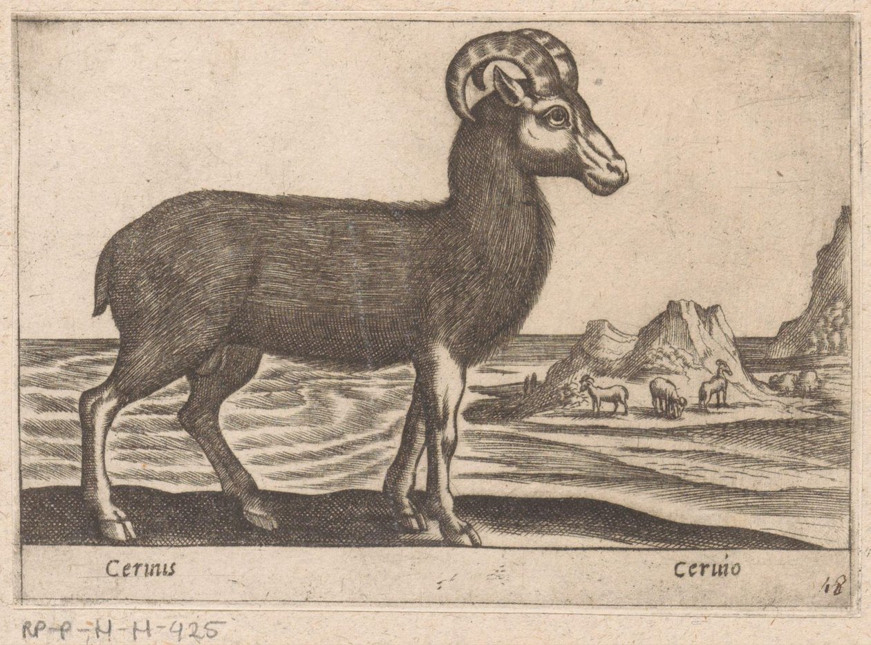 Jalokivet Cerinis / Ceruio (otsikko esineessä) Dieren en fabelwezens (sarjan nimi) Nova-kokoelma maailman uteliaimpia eläimiä (sarjan nimi) tekijältä Antonio Tempesta