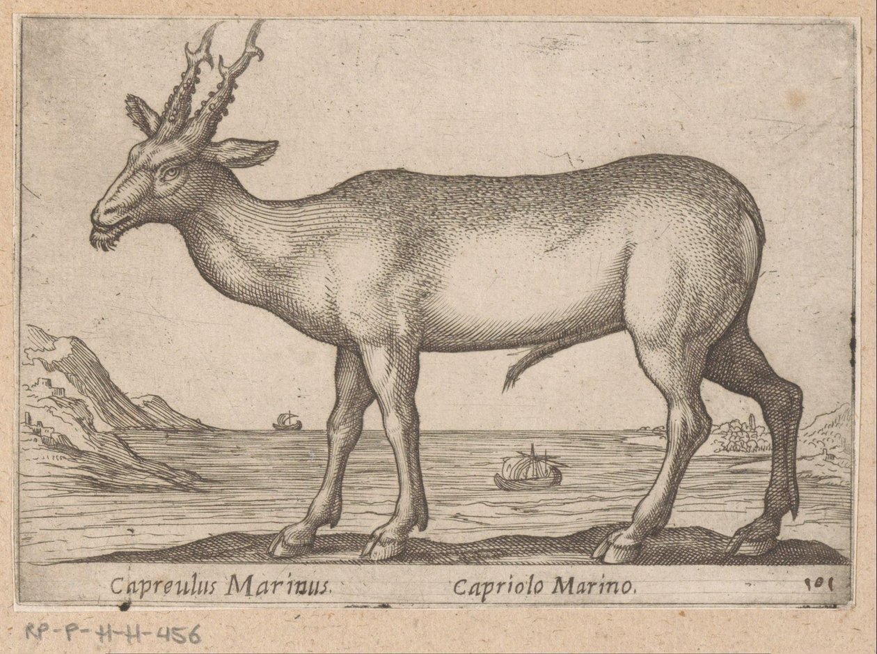 Hert Capreulus Marinus/ Capriolo Marino (otsikko esineessä) Dieren en fablewezens (sarjan nimi) Uusi kokoelma maailman uteliaimpia eläimiä (sarjan nimi) tekijältä Antonio Tempesta