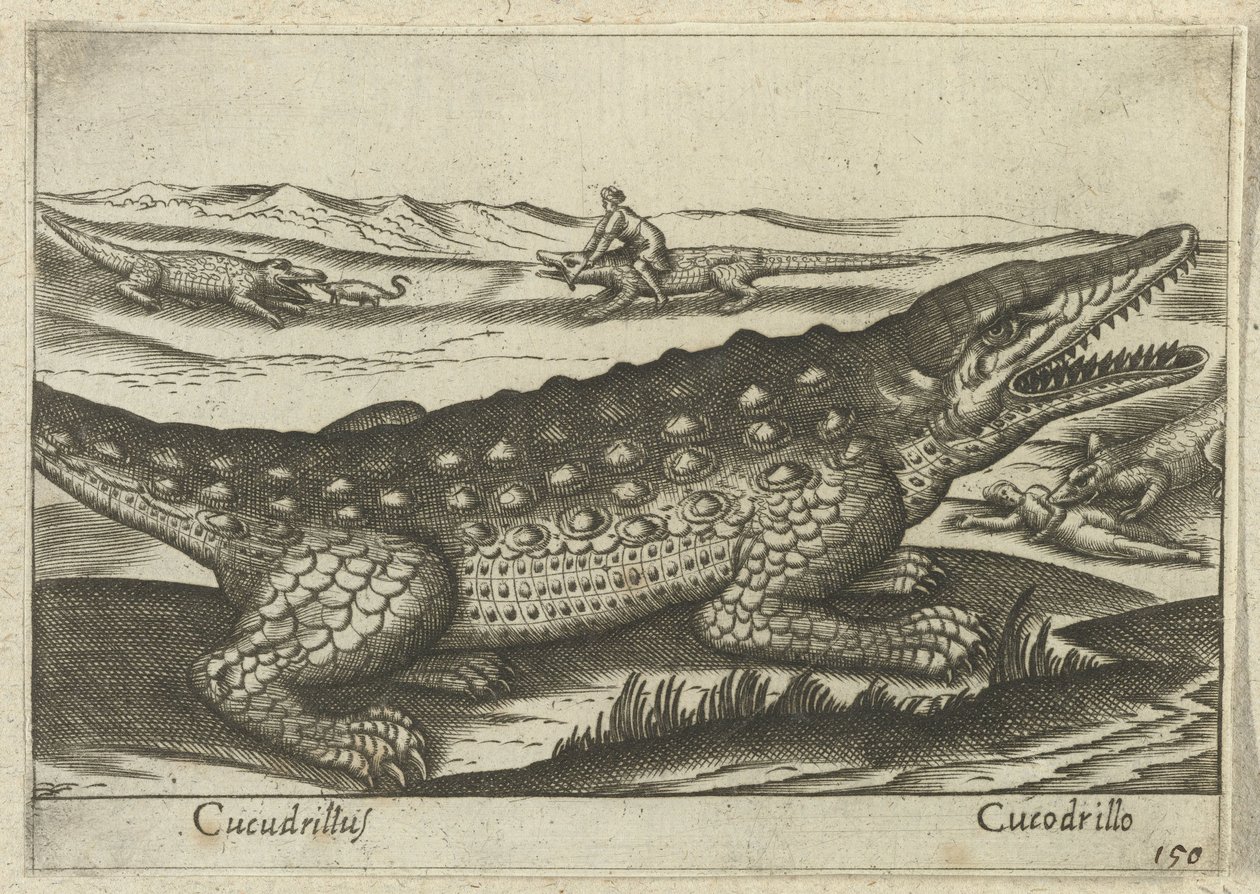 Krokotiili Coccodrillus/Crocodile (otsikko esineessä) Dieren en fablewezens (sarjan nimi) Uusi kokoelma maailman uteliaimpia eläimiä (sarjan nimi) tekijältä Antonio Tempesta