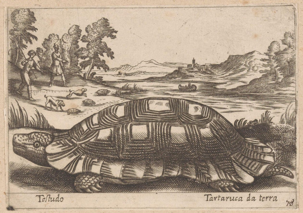 Landschildpad Testudo/ Ground kilpikonna (otsikko esineessä) Dieren en fabelwezens (sarjan nimi) Uusi kokoelma maailman uteliaimpia eläimiä (sarjan nimi) tekijältä Antonio Tempesta
