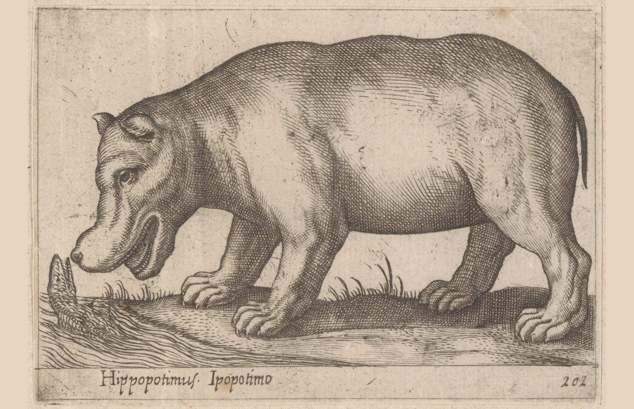 Virtahepo Virtahepo/Ippopotamo (otsikko esineessä) Eläimet ja myyttiset olennot (sarjan nimi) Nova raccolta de li animali piu curiosi del mondo (sarjan nimi) tekijältä Antonio Tempesta