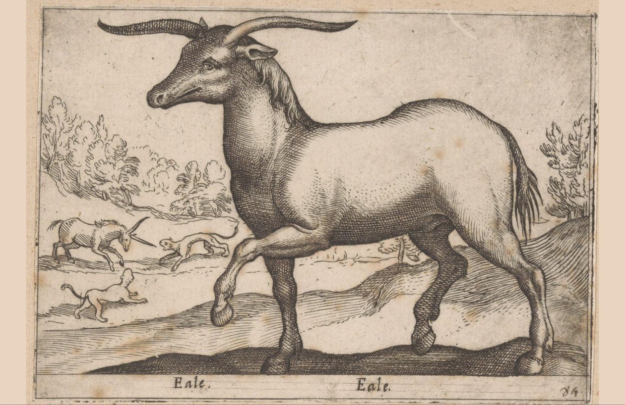 Hevonen sarvet Eale/Eale (otsikko esineessä) Eläimet ja myyttiset olennot (sarjan nimi) Nova raccolta de li animali piu curiosi del mondo (sarjan nimi) tekijältä Antonio Tempesta