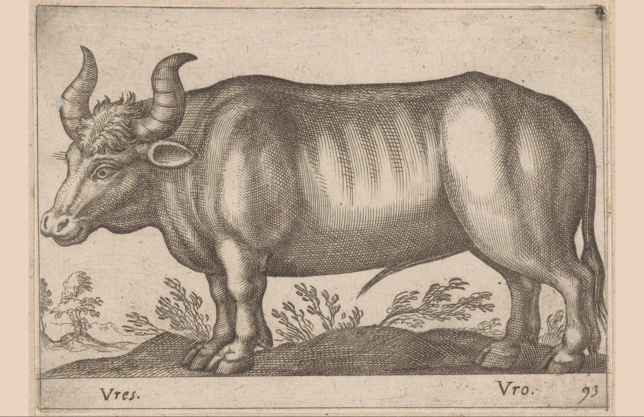 Pyöristää Vres/ Vro (otsikko esineessä) Eläimet ja myyttiset olennot (sarjan nimi) Nova raccolta de li animali piu curiosi del mondo (sarjan nimi) tekijältä Antonio Tempesta