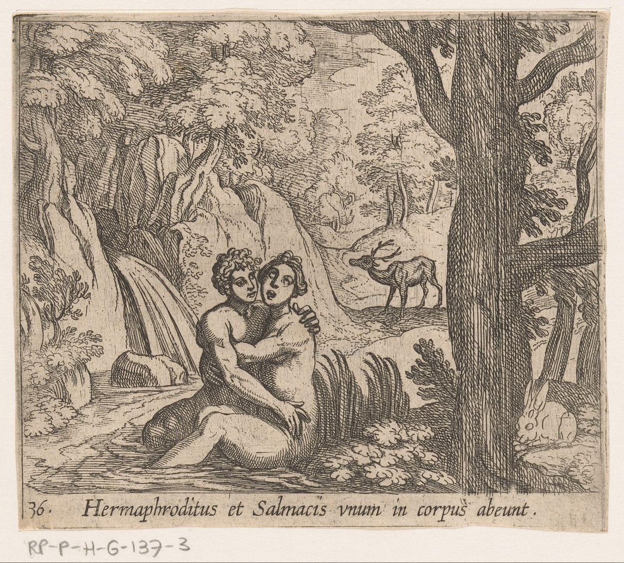 Salmacis ja Hermaphroditus Hermaphroditus ja Salmacius lähtevät yhtenä ruumiina (otsikko esineessä) Metamorfoosi tai muunnokset (sarjan nimi) Metamorfosen van Ovidius (sarjan nimi) tekijältä Antonio Tempesta