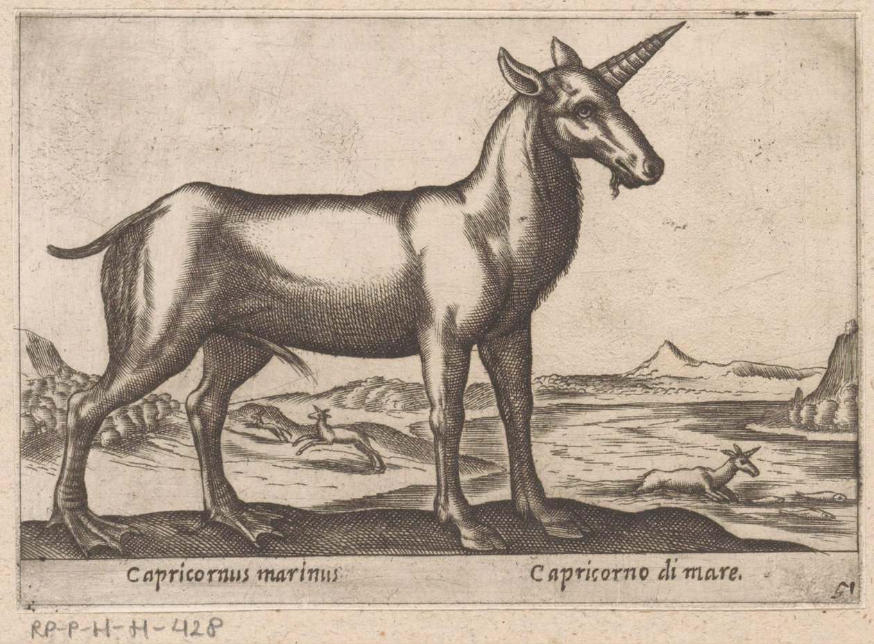 Kauris merieläinnä Capricornus marinus/ Capricorno di mare (otsikko esineessä) Eläimet ja myyttiset olennot (sarjan nimi) Nova raccolta de li animali piu curiosi del mondo (sarjan nimi) tekijältä Antonio Tempesta