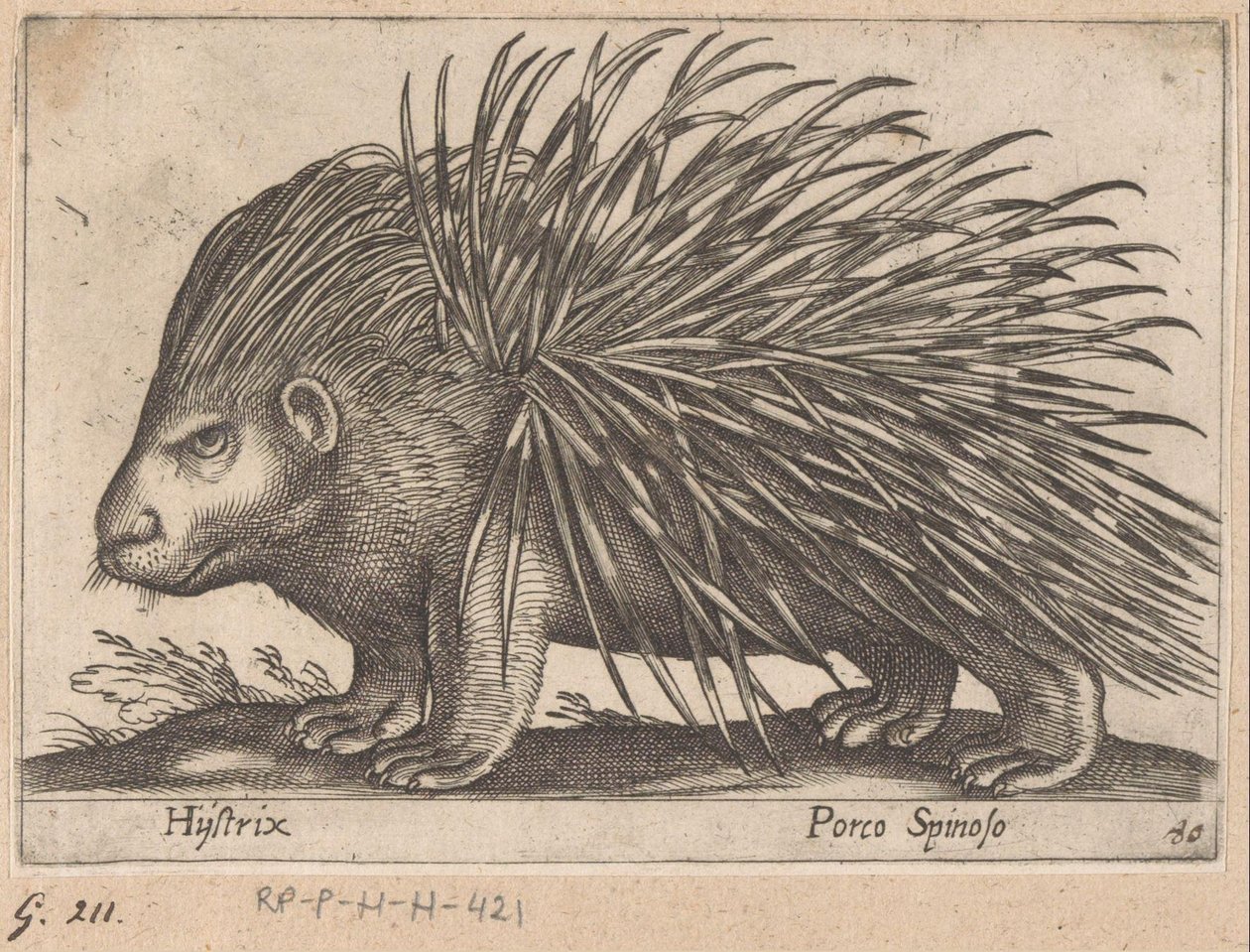 Piikkisika Hijstrix/ Porco Spinoso (otsikko esineessä) Eläimet ja myyttiset olennot (sarjan nimi) Nova raccolta de li animali piu curiosi del mondo (sarjan nimi) tekijältä Antonio Tempesta