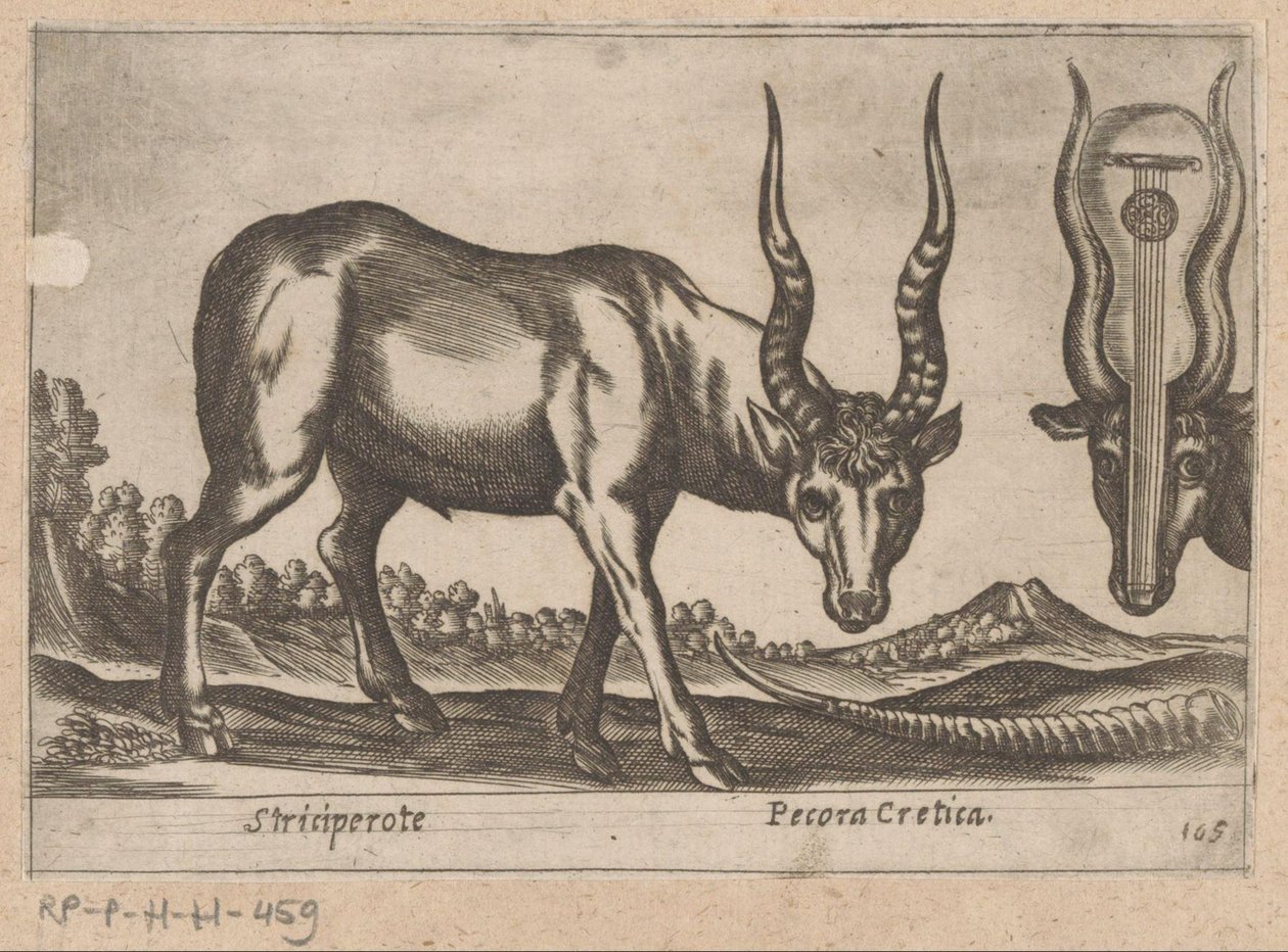 Kaksi antilooppia Striciperote/kreetalainen karja (otsikko esineessä) Dieren en fablewezens (sarjan nimi) Nova raccolta de li animali piu curiosi del mondo (sarjan nimi) tekijältä Antonio Tempesta