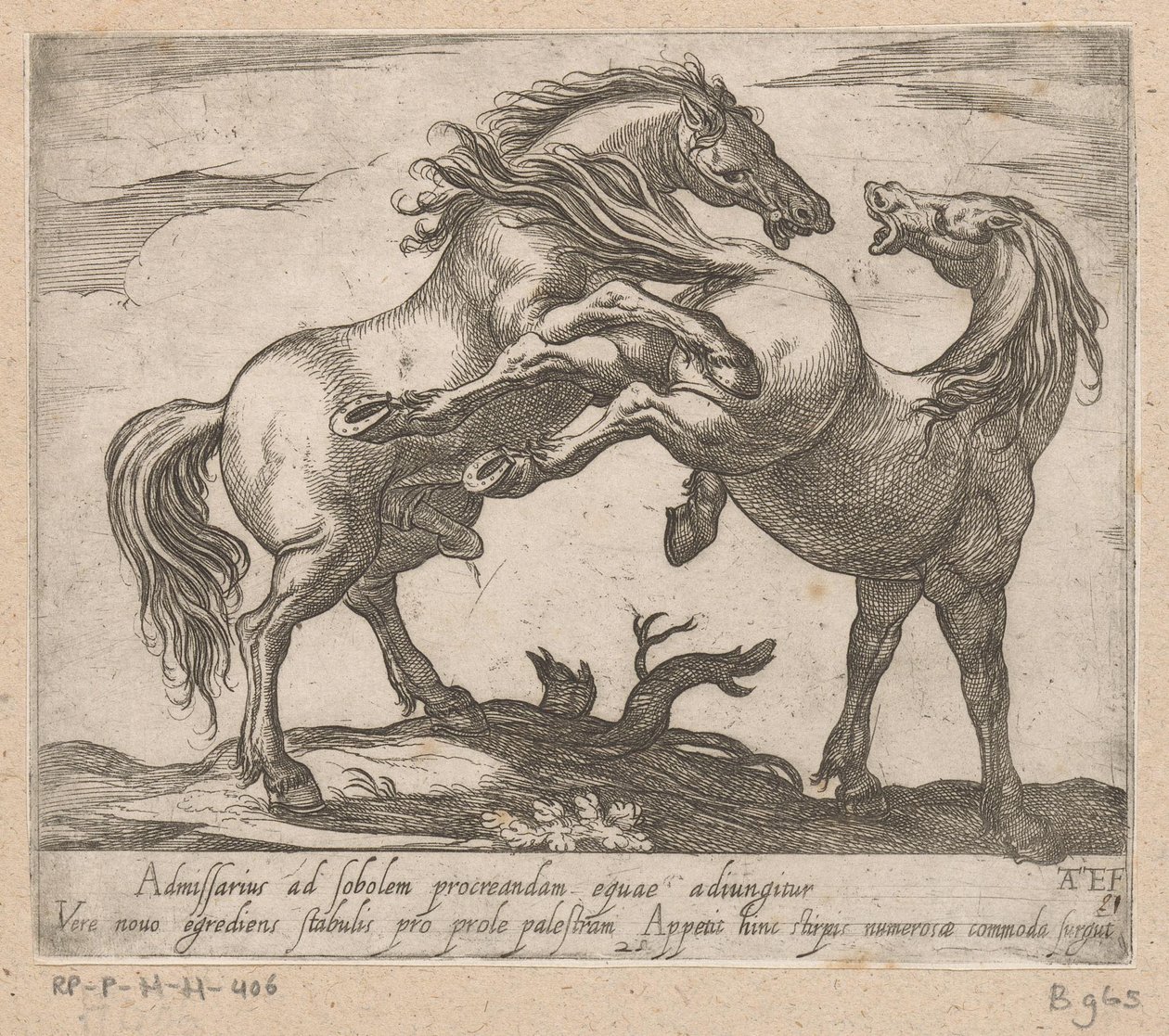 Twee parende paarden Paarden uit verschiedelden landen (sarjan nimi) Näiden johtajien kanssa sinua juhlitaan johtajana, jolla on viroru suu. tekijältä Antonio Tempesta