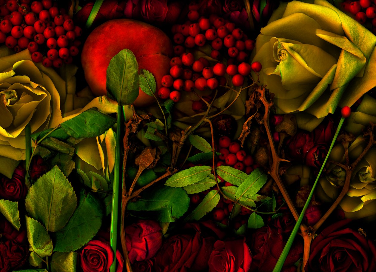  tekijältä Antonius Antonius