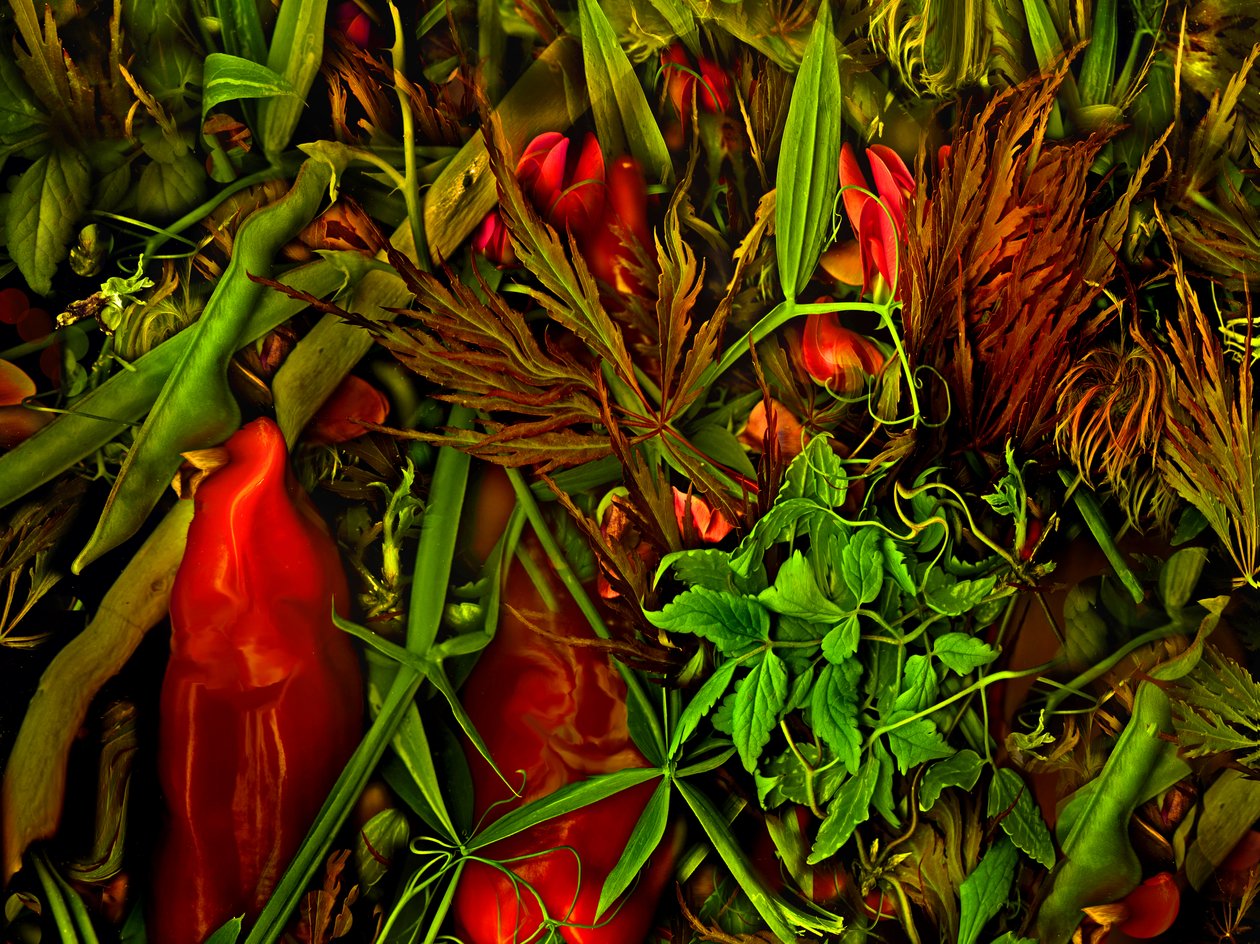  tekijältä Antonius Antonius