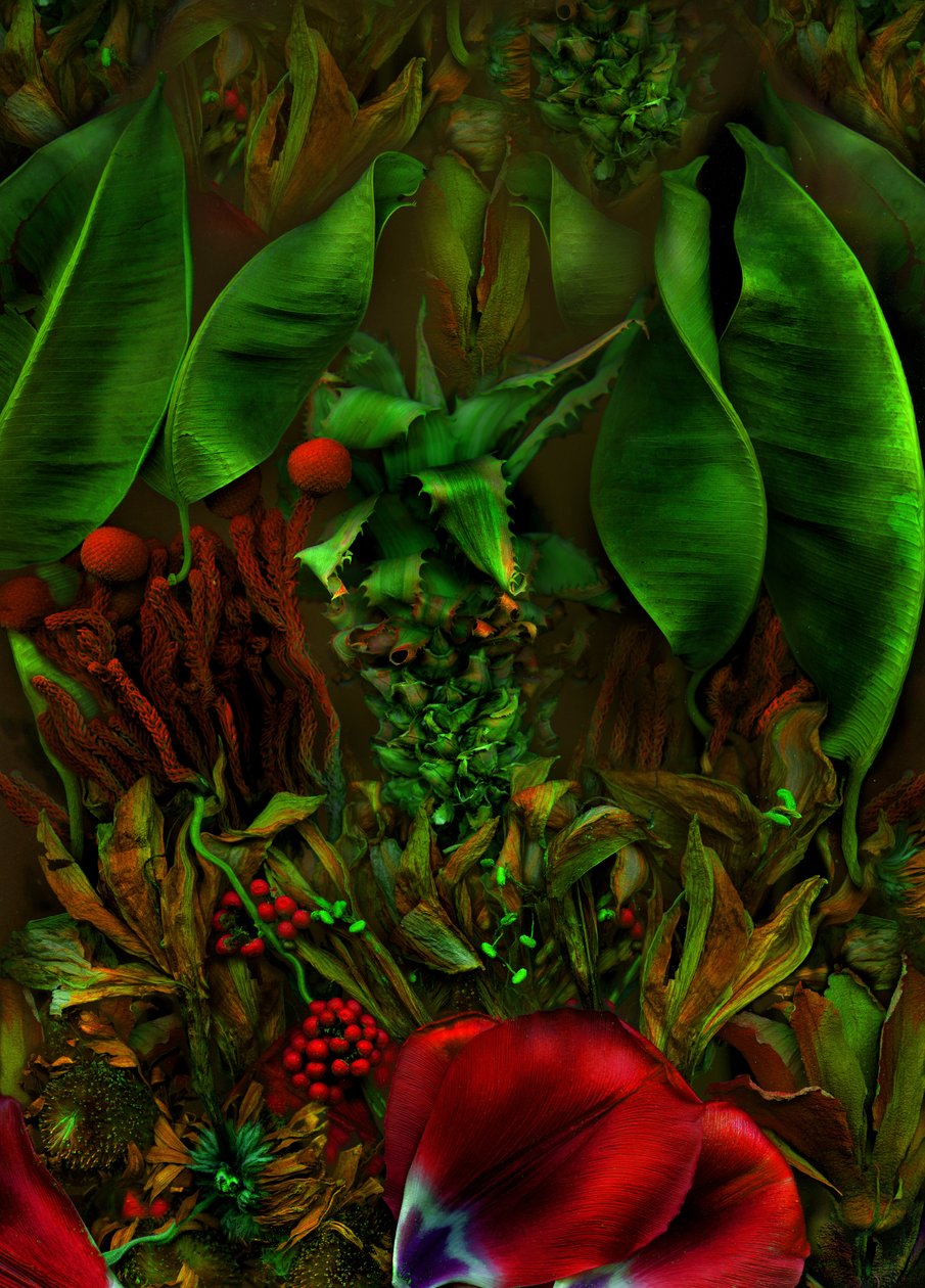  tekijältä Antonius Antonius