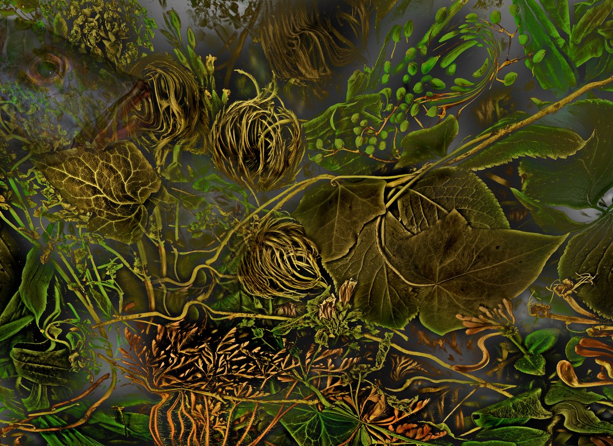  tekijältä Antonius Antonius