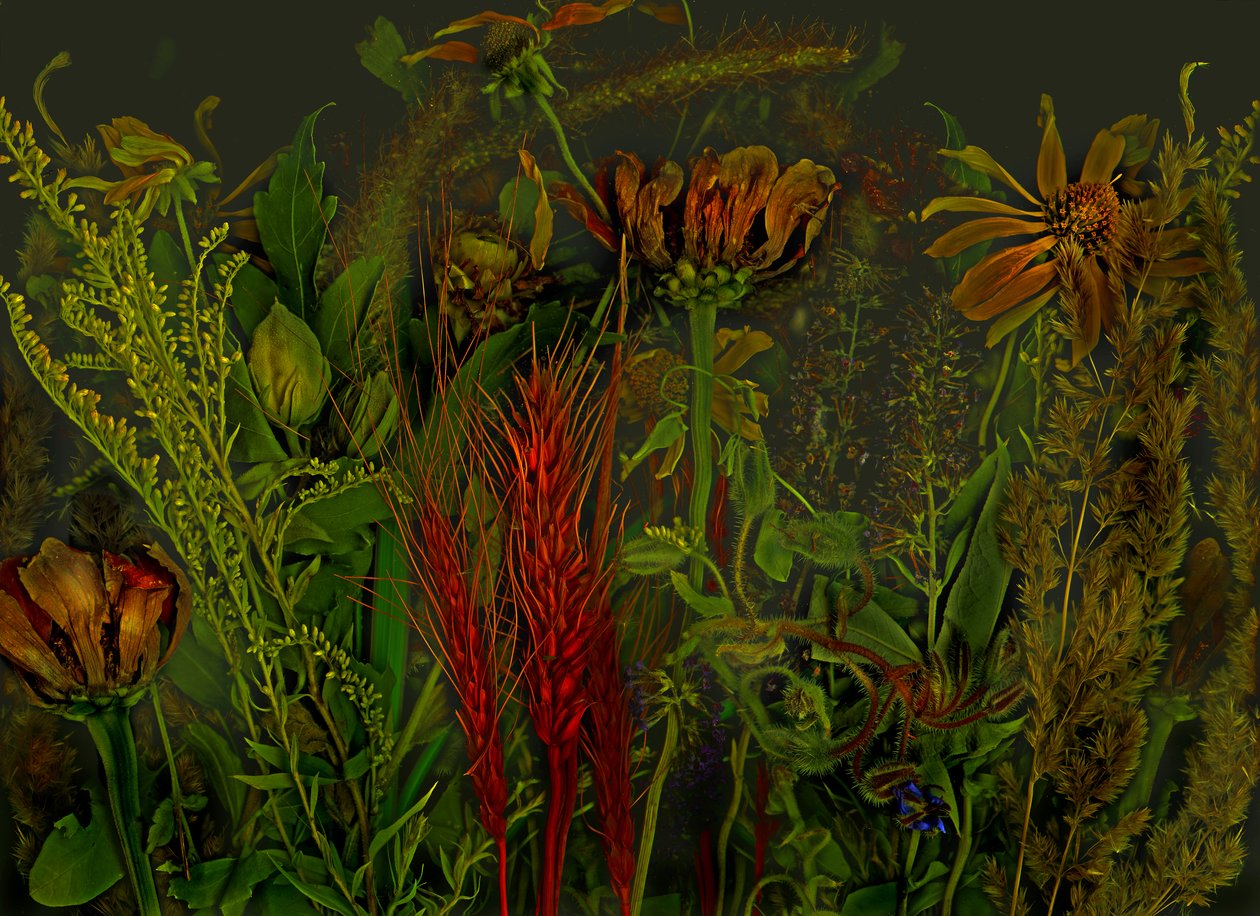  tekijältä Antonius Antonius