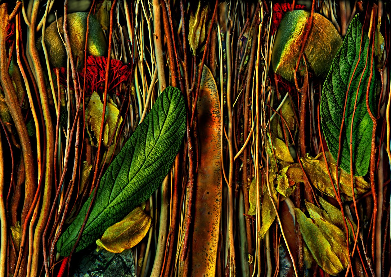  tekijältä Antonius Antonius