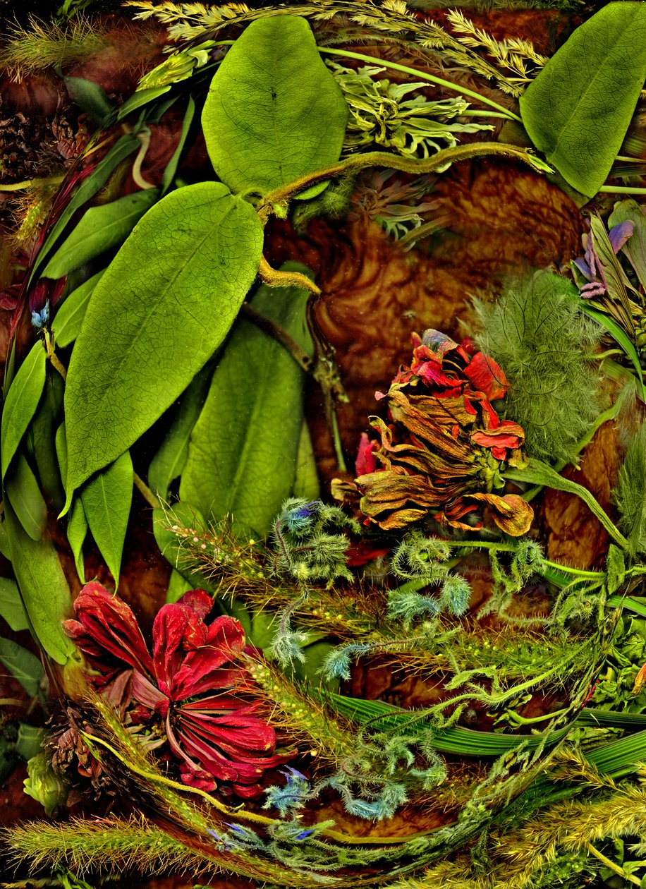  tekijältä Antonius Antonius