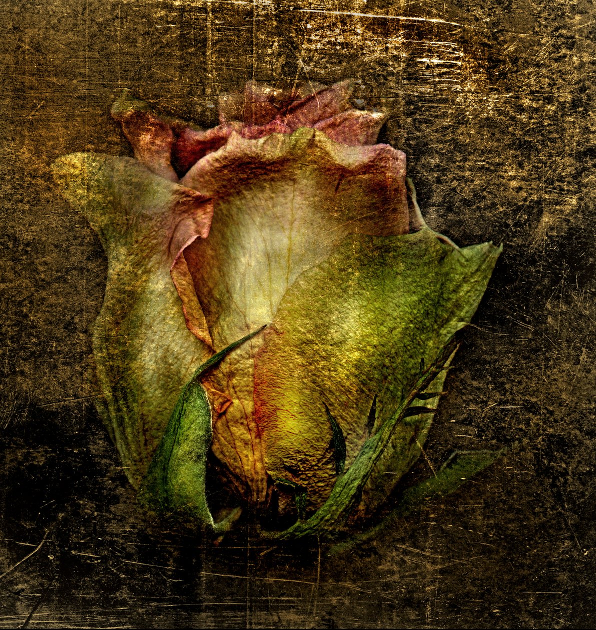 Artfloral -55 tekijältä Antonius Antonius