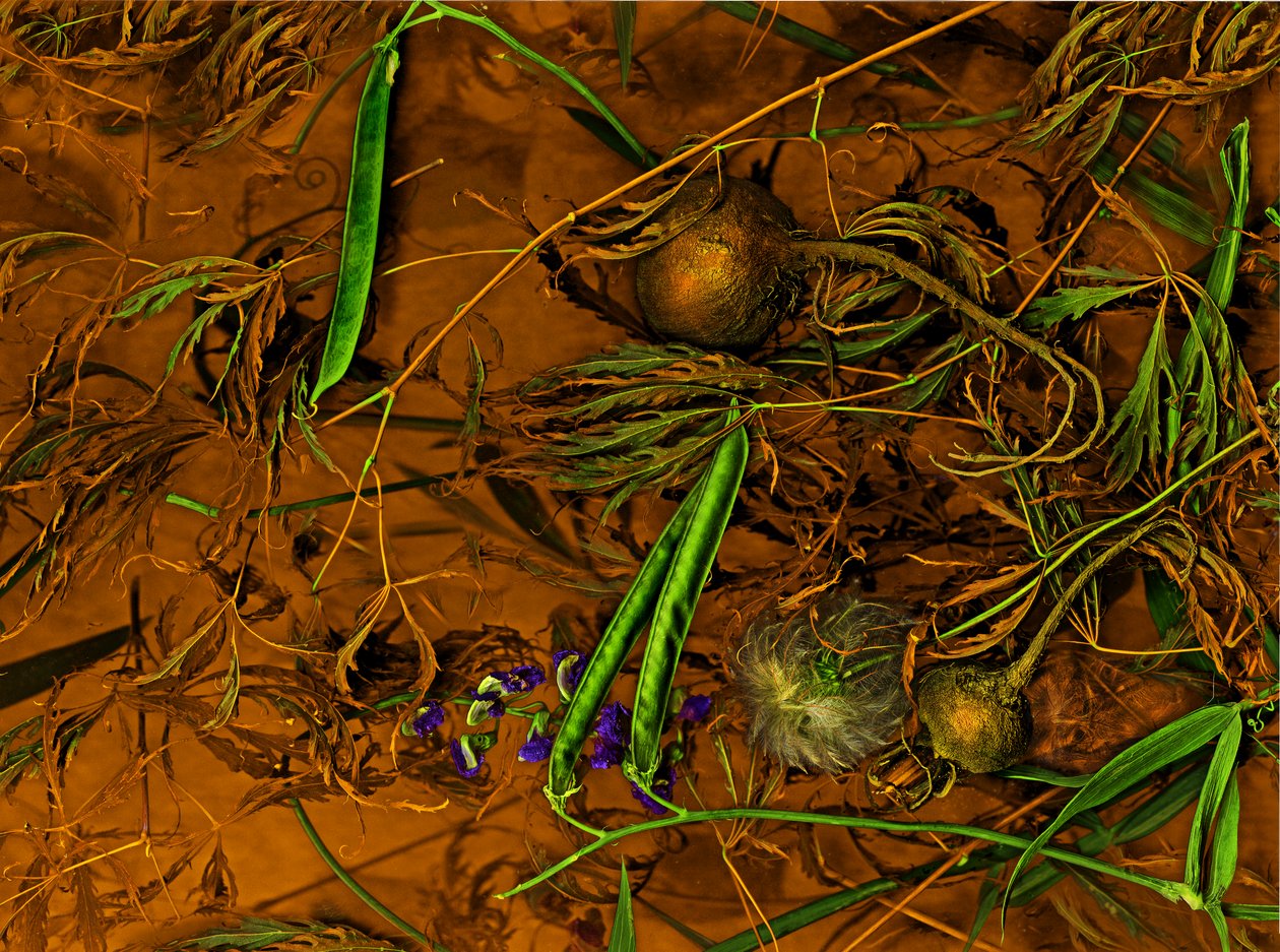 Earthart no.2, 2014 (kuva) tekijältä Antonius Antonius