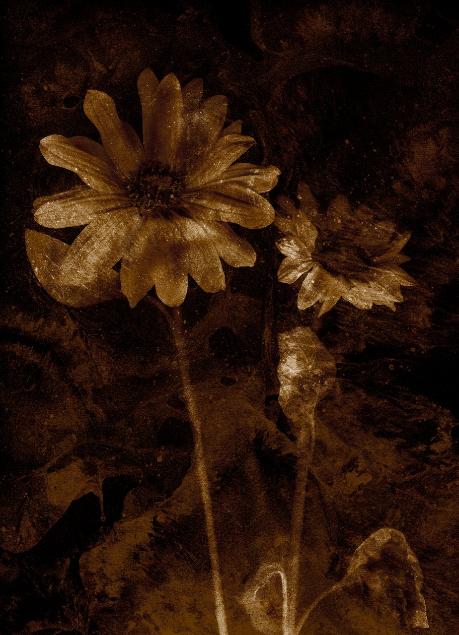  tekijältä Antonius Antonius