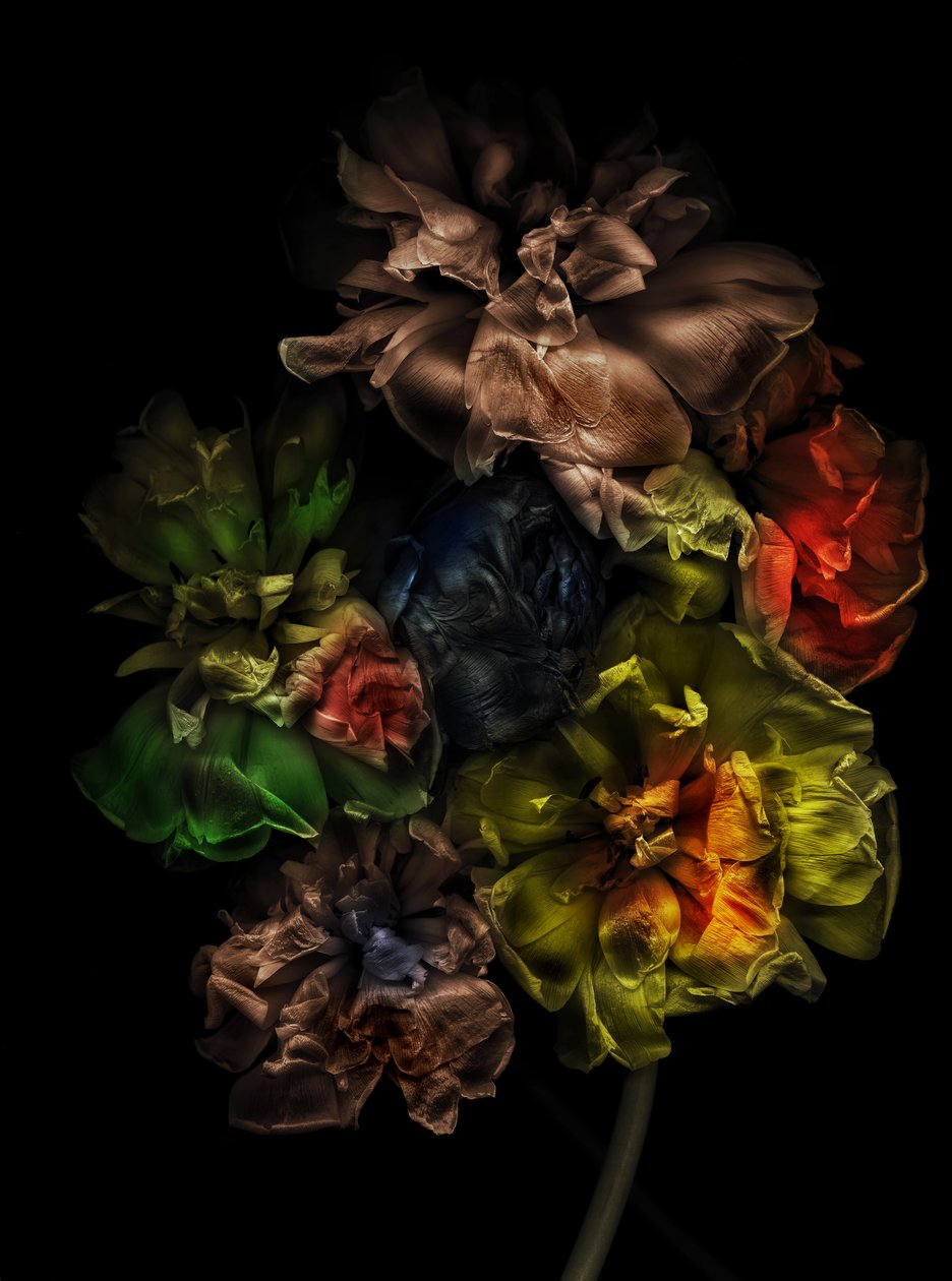  tekijältä Antonius Antonius