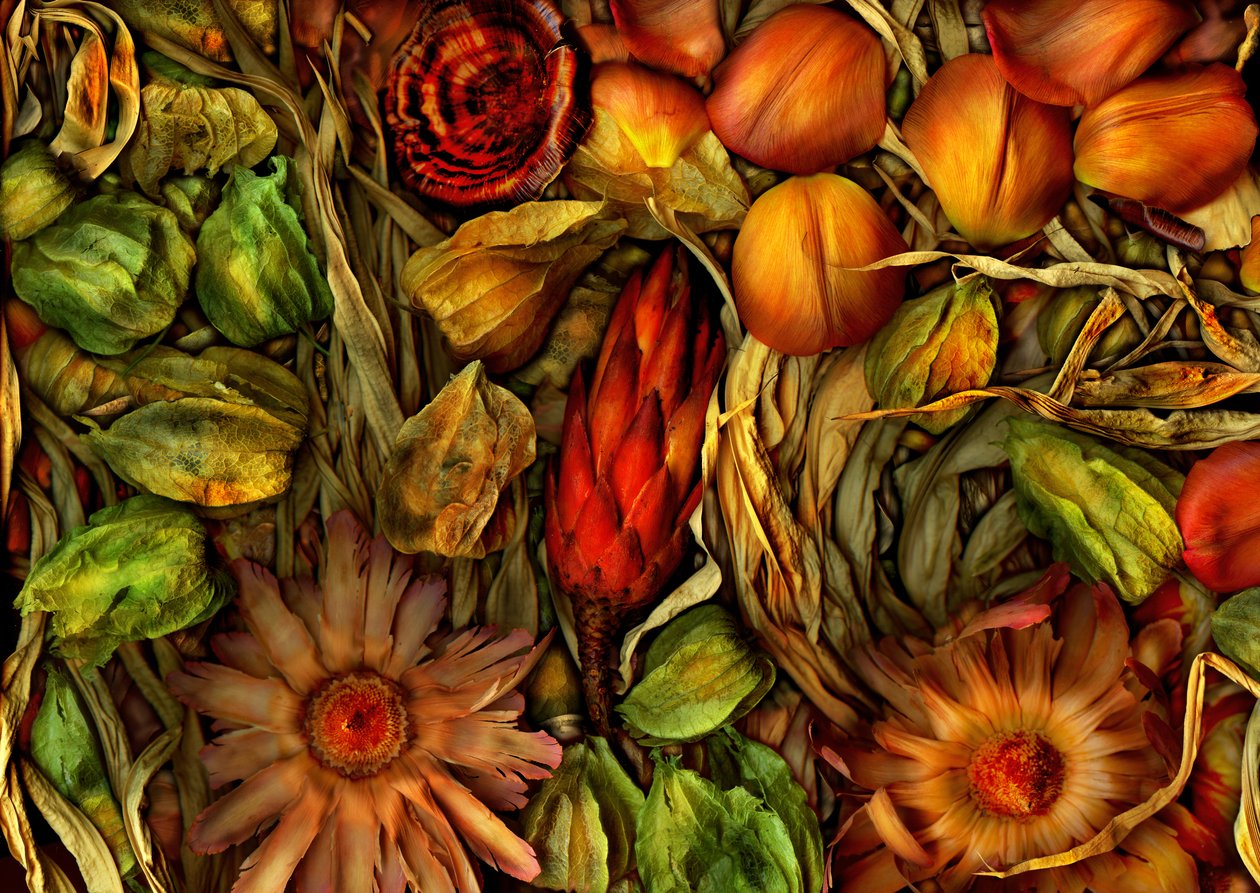  tekijältä Antonius Antonius