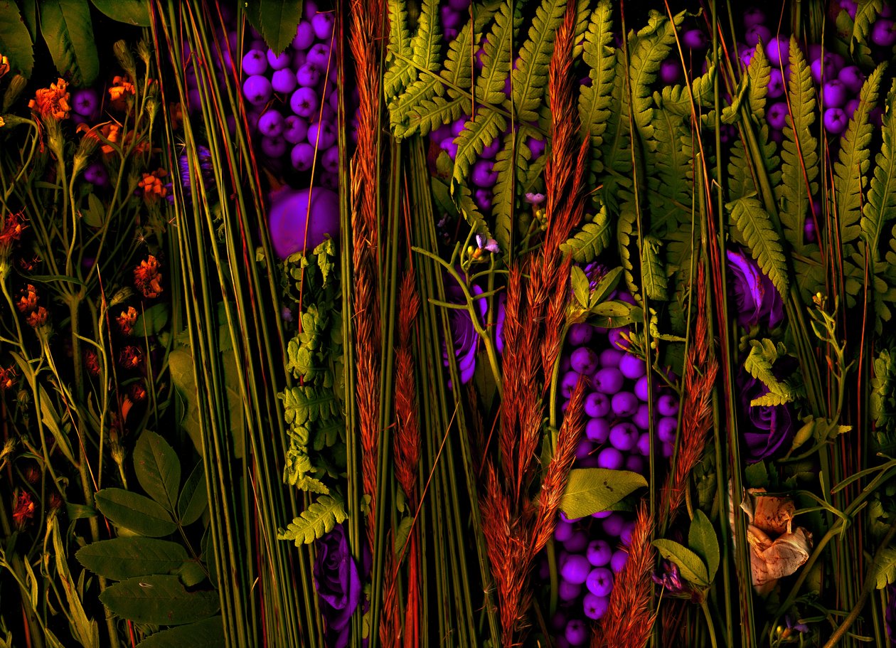  tekijältä Antonius Antonius