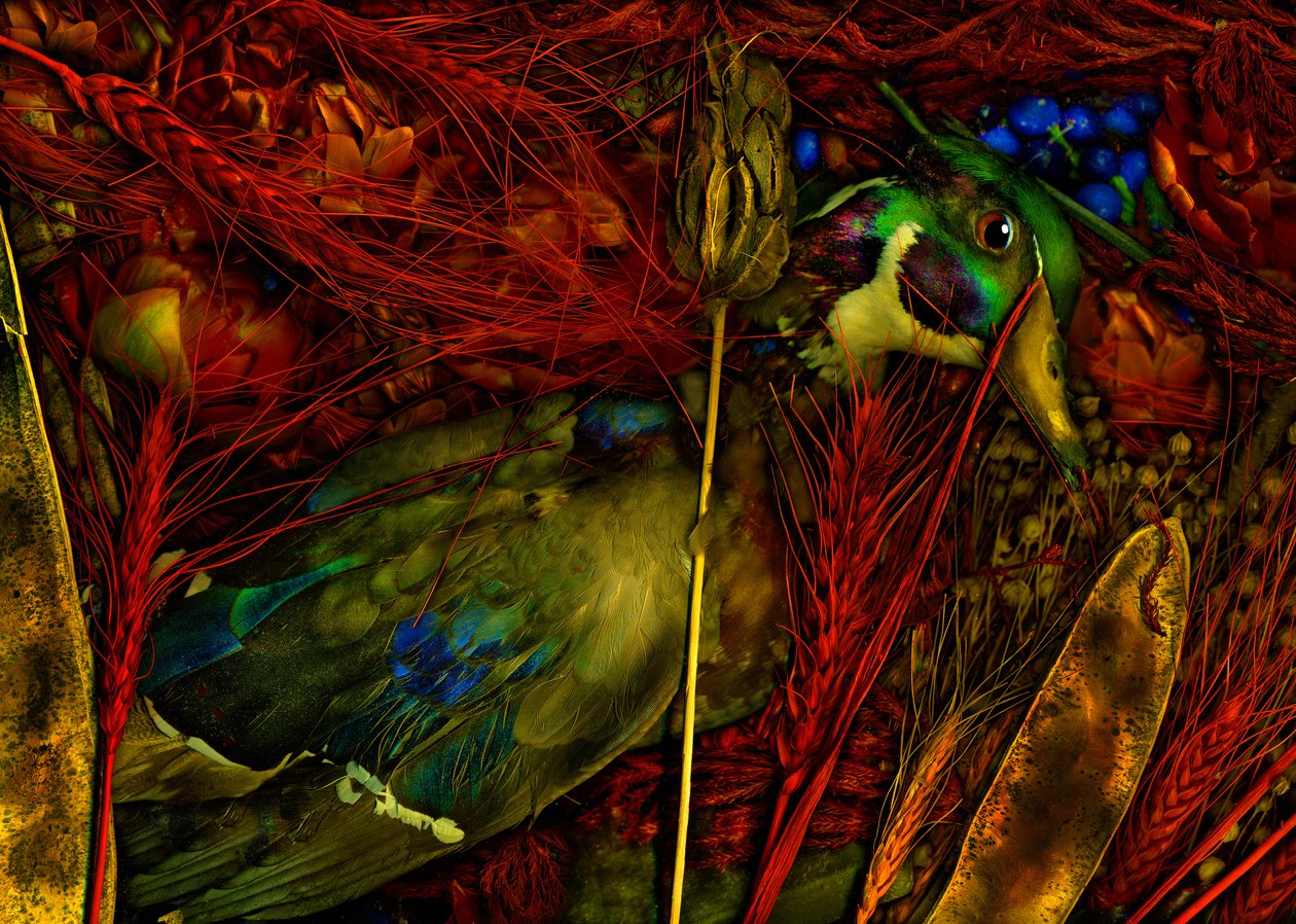  tekijältä Antonius Antonius