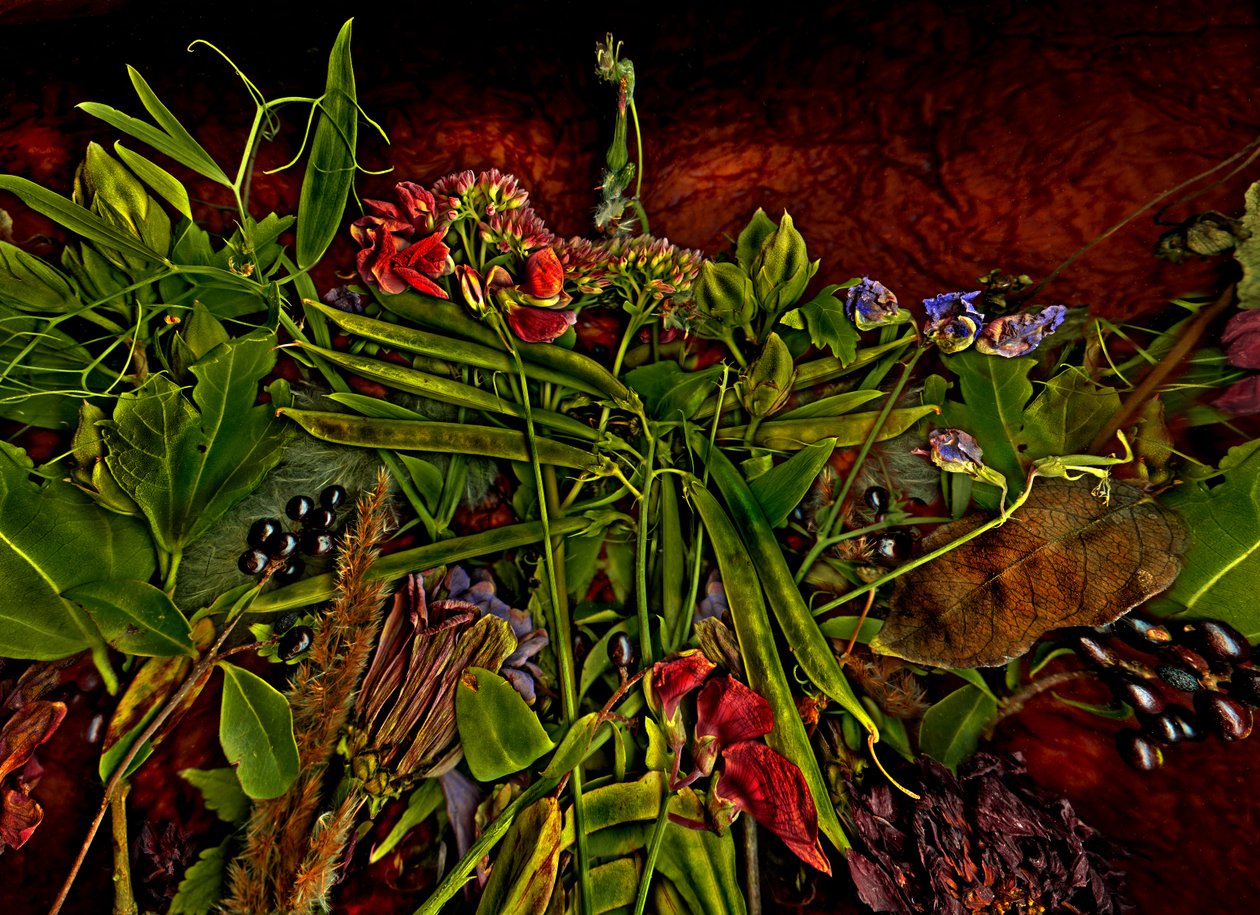  tekijältä Antonius Antonius