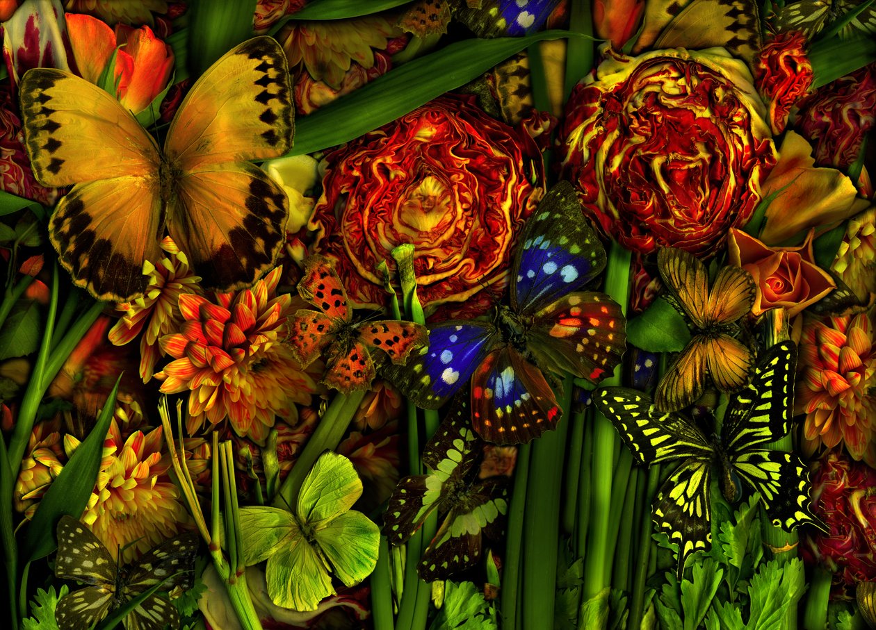  tekijältä Antonius Antonius