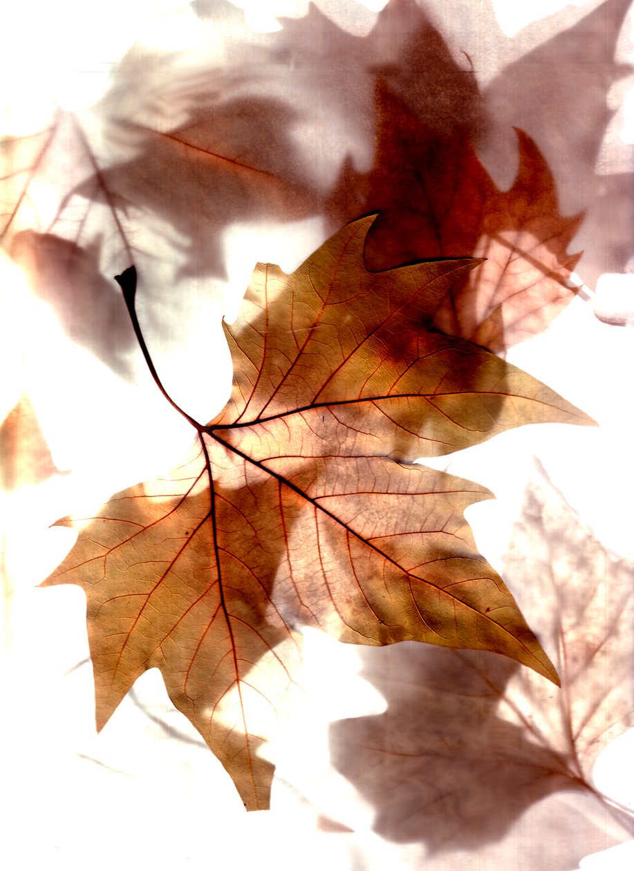  tekijältä Antonius Antonius