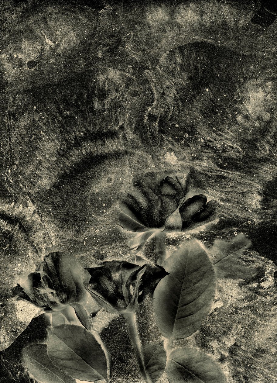  tekijältä Antonius Antonius