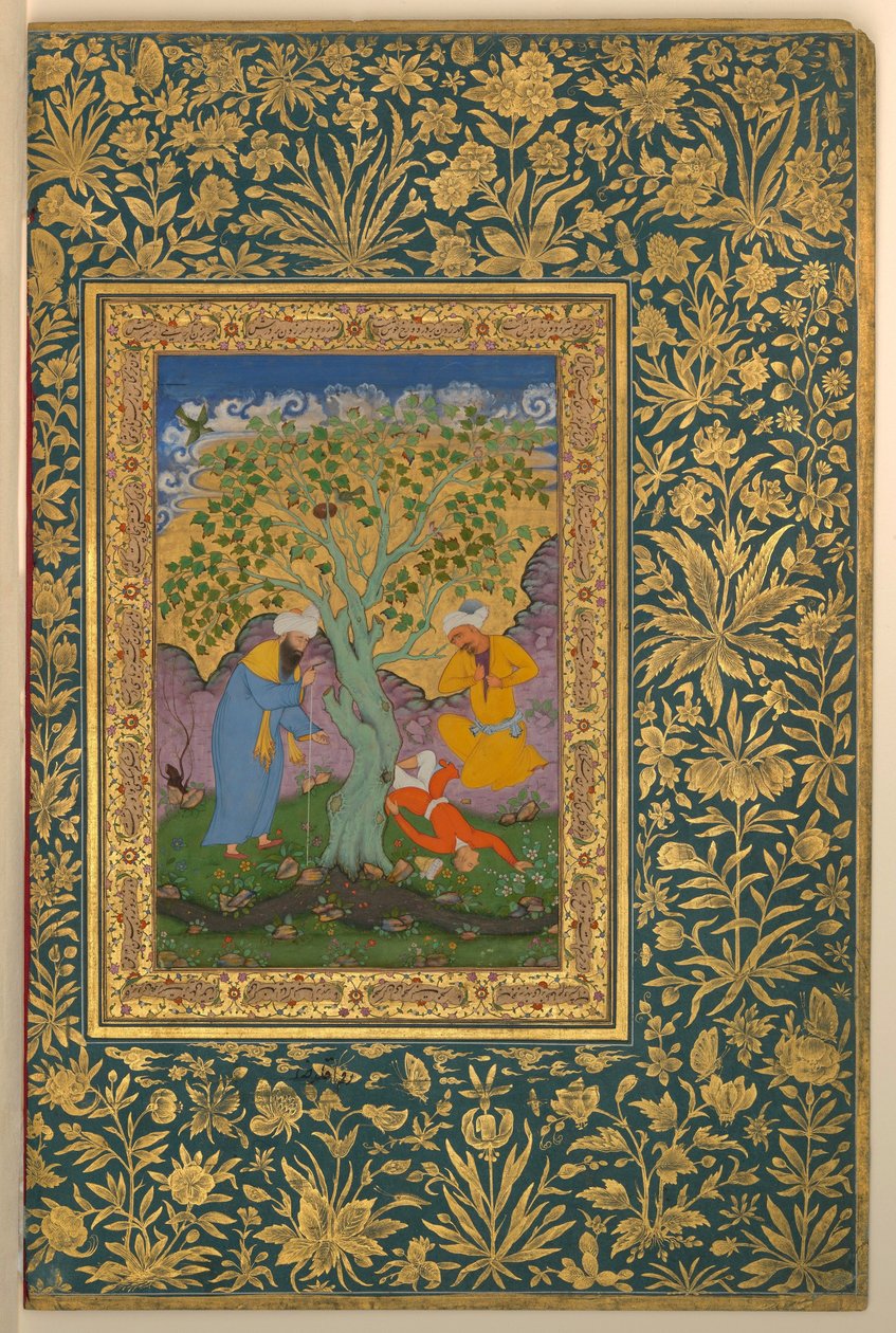Aqa Riza, Nuori pudonnut puusta, Folio Shah Jahan -albumilta tekijältä Aqa Riza
